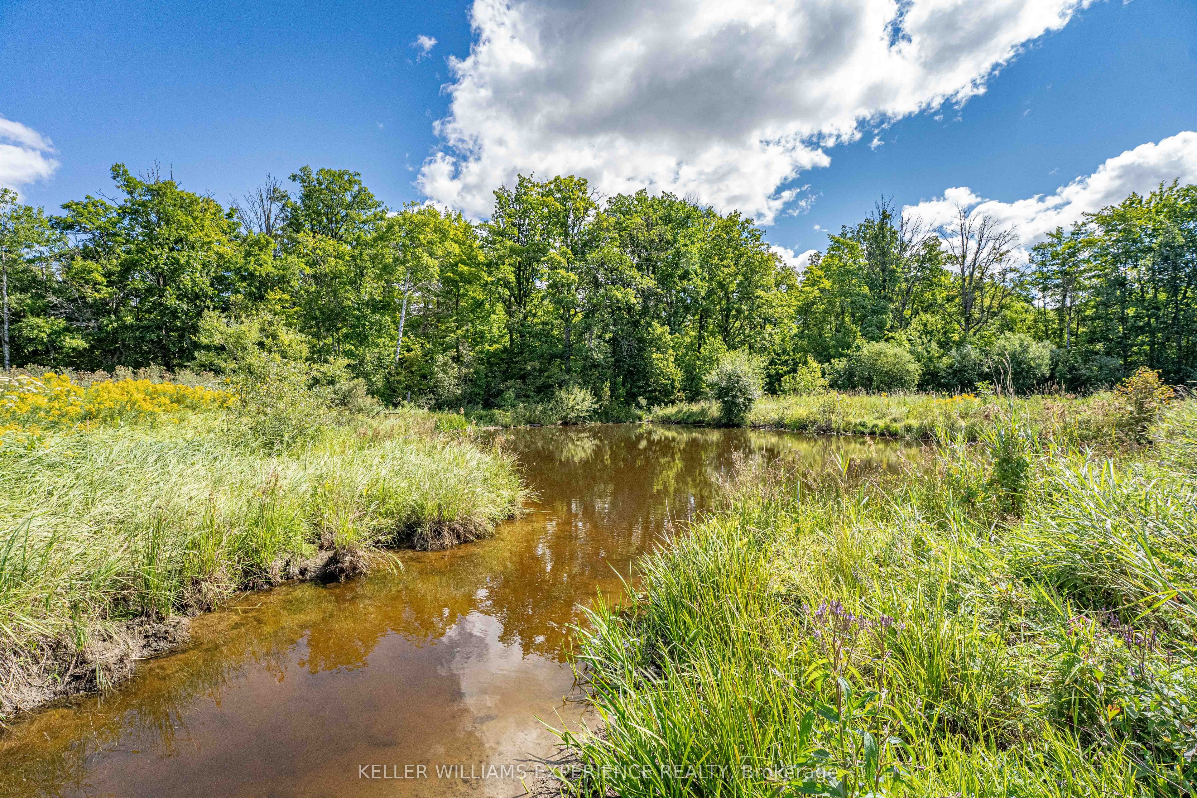 1213 Taylor Line Property Photo 43