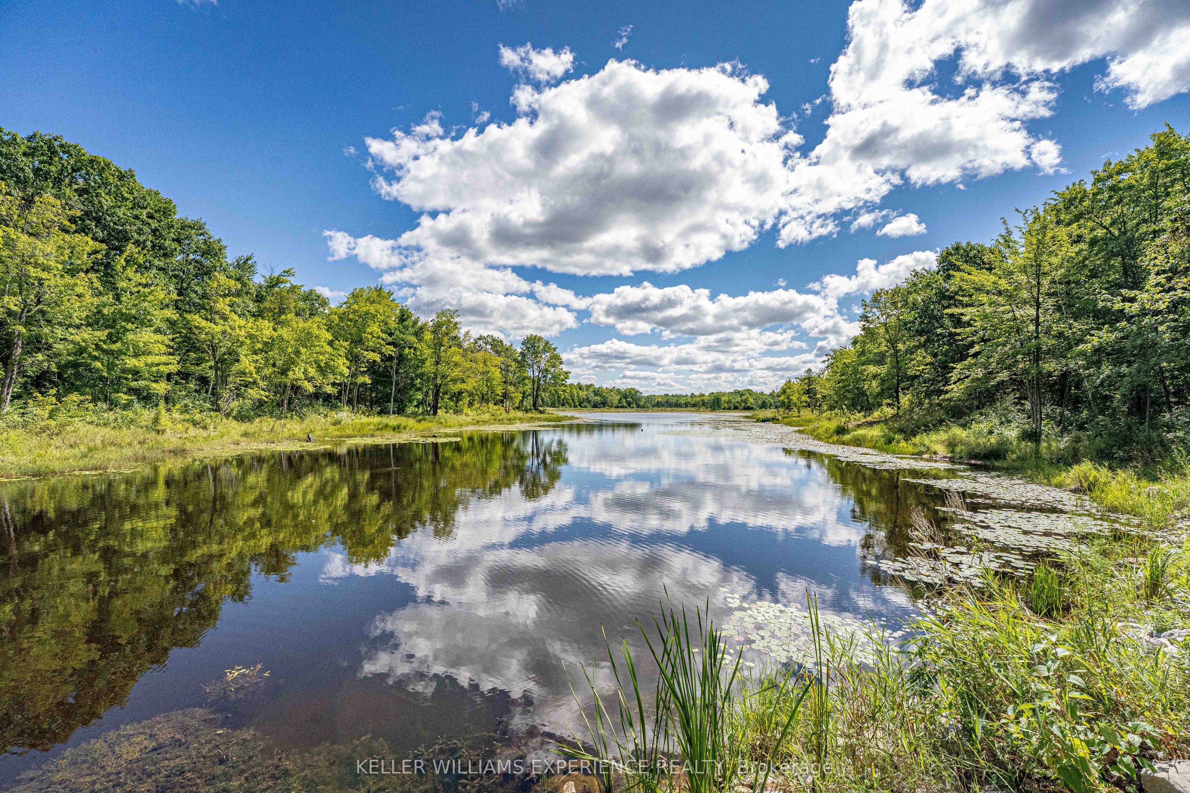 1213 Taylor Line Property Photo 45