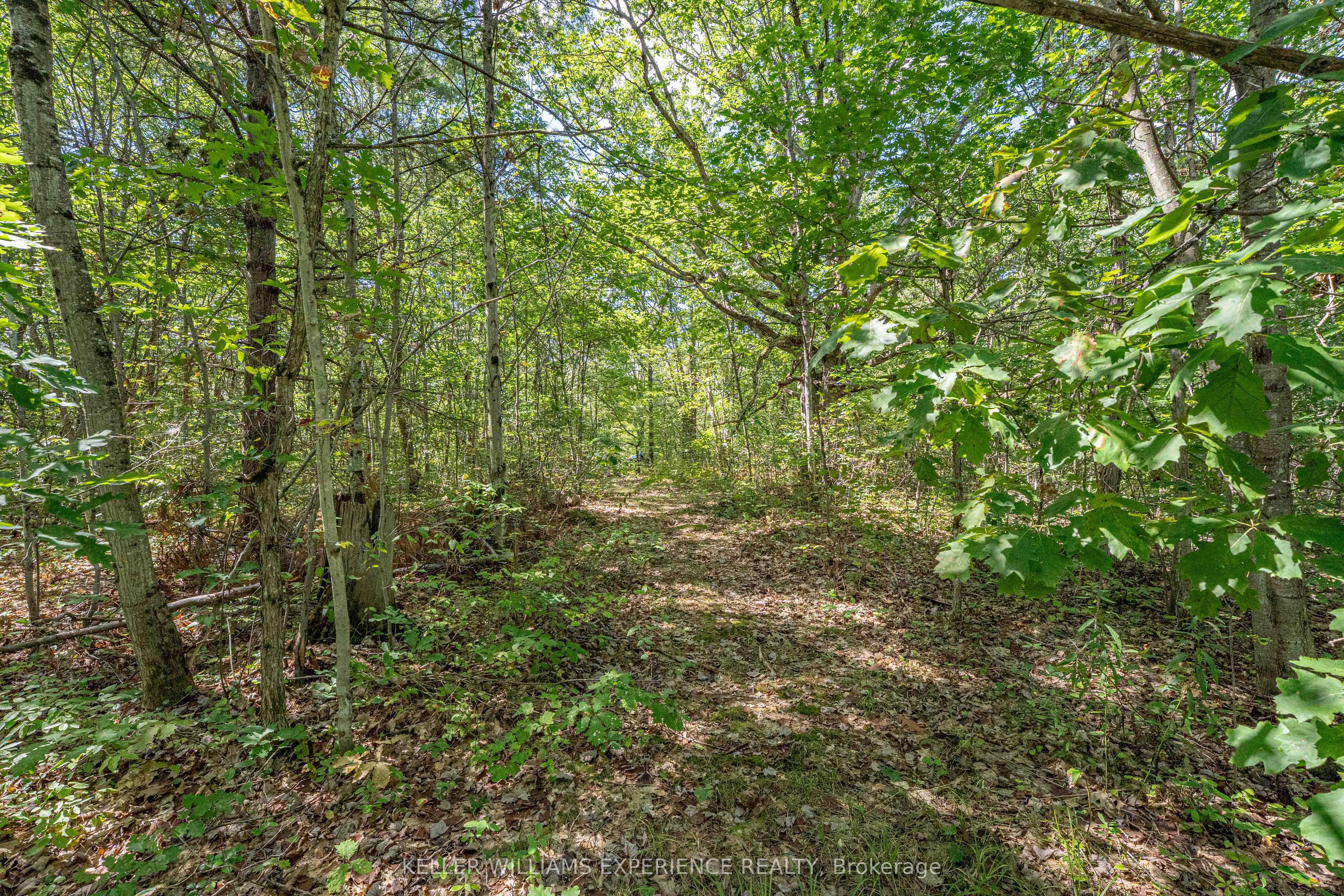 1213 Taylor Line Property Photo 46