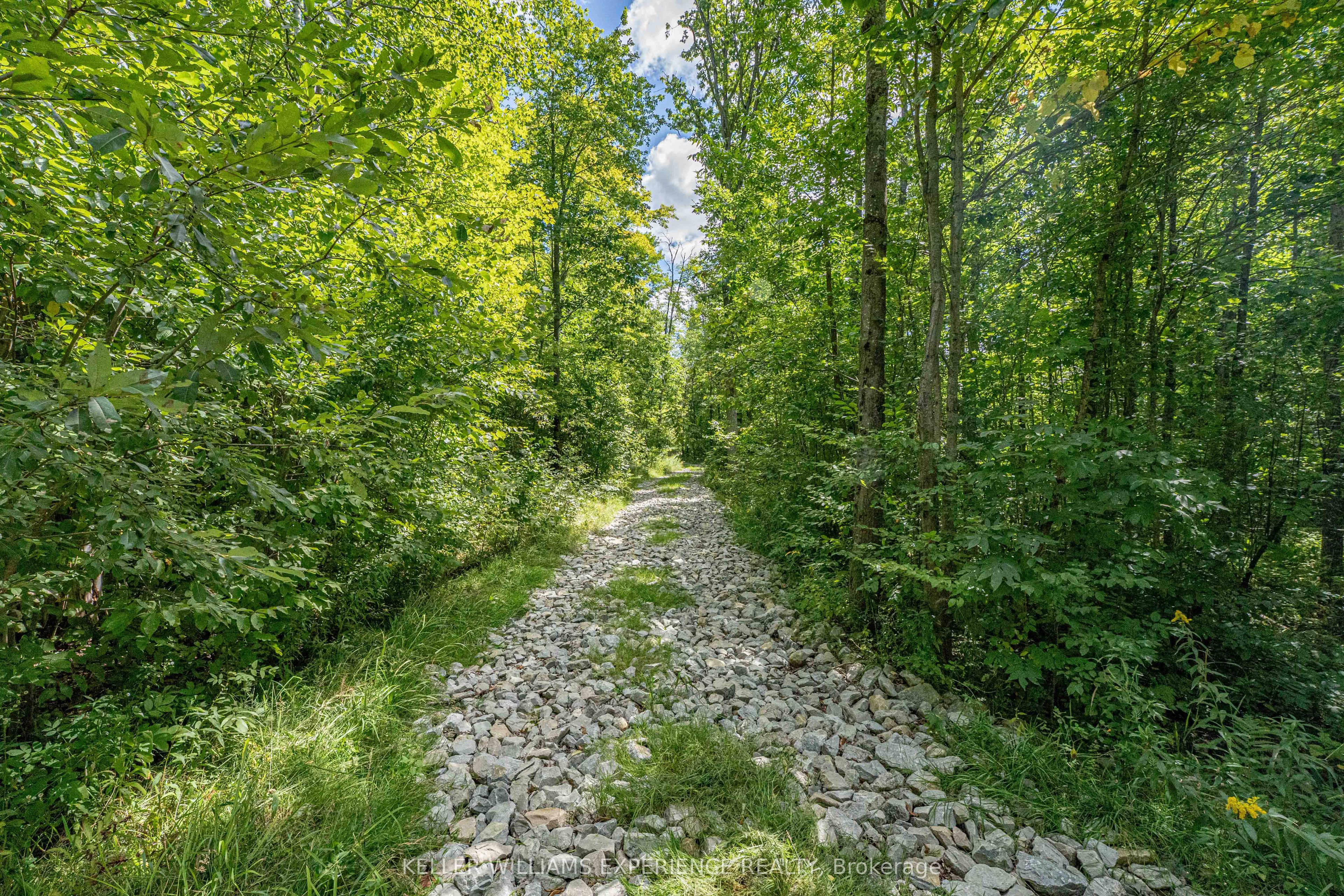 1213 Taylor Line Property Photo 48