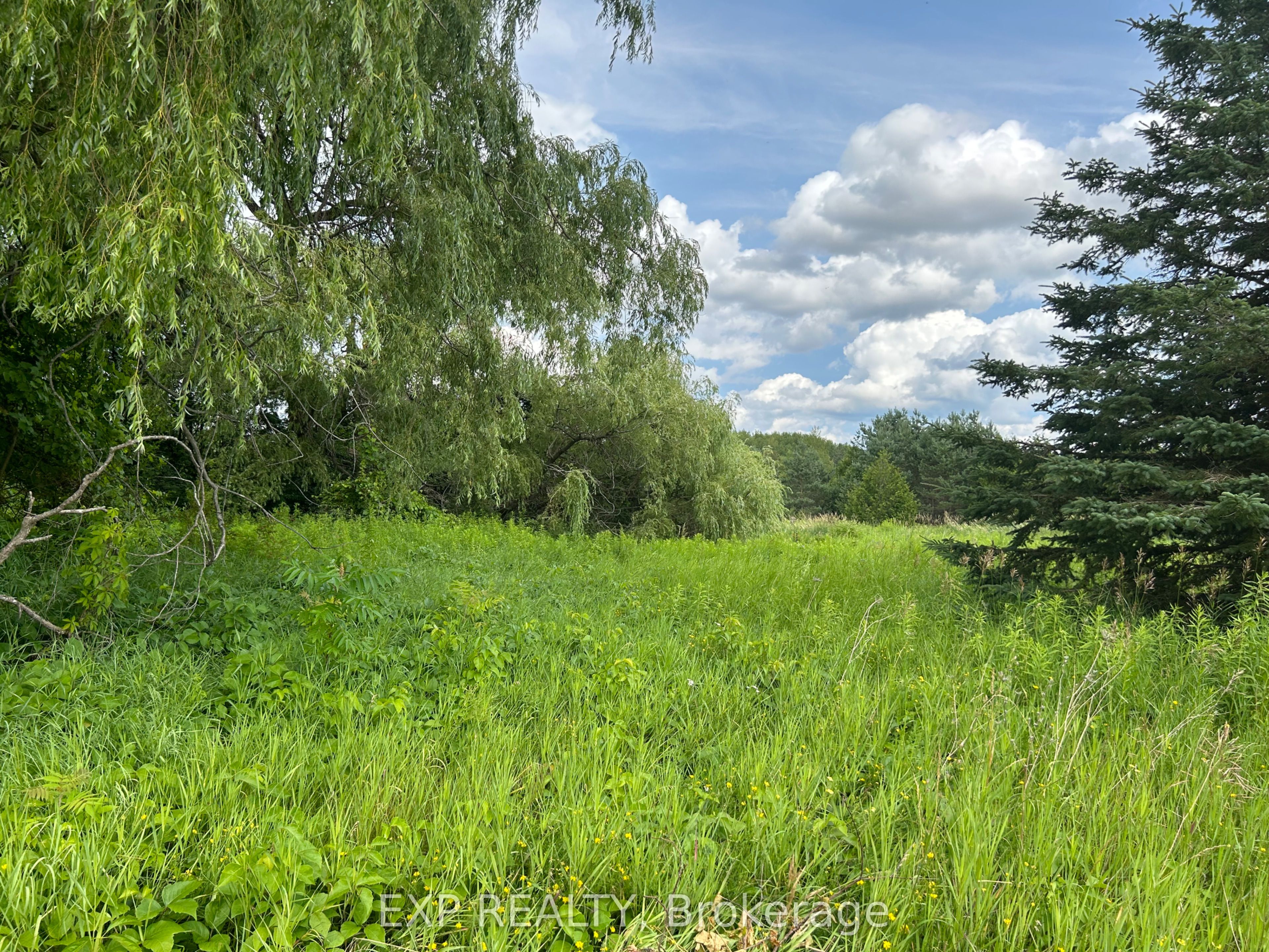 1125 Wood Road Property Photo 1