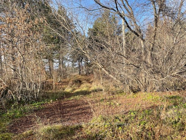 3678 Mccarthy Drive Property Photo 3