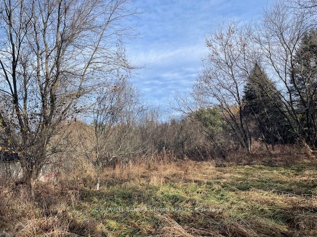 3678 Mccarthy Drive Property Photo 4