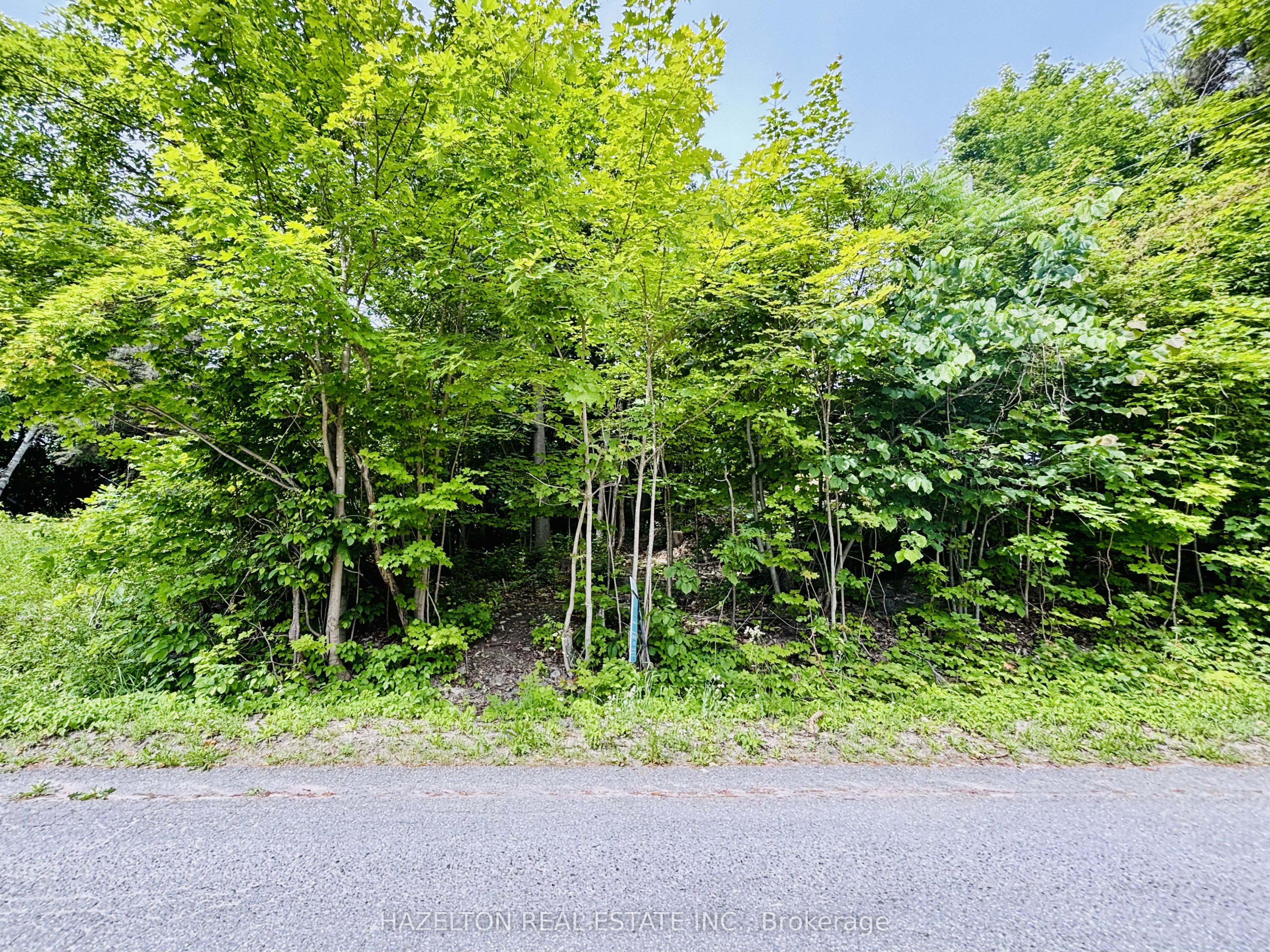 554 Barnes Avenue Property Photo 1