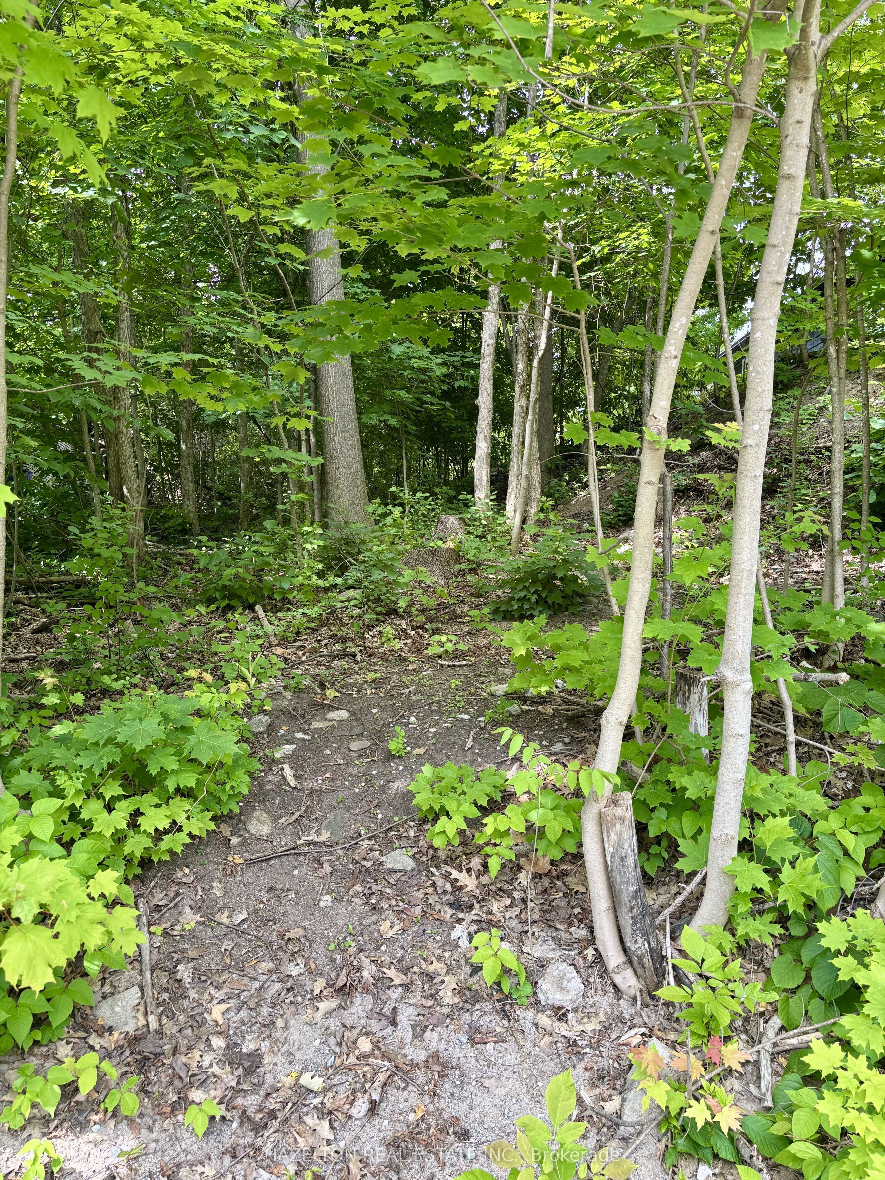 554 Barnes Avenue Property Photo 2