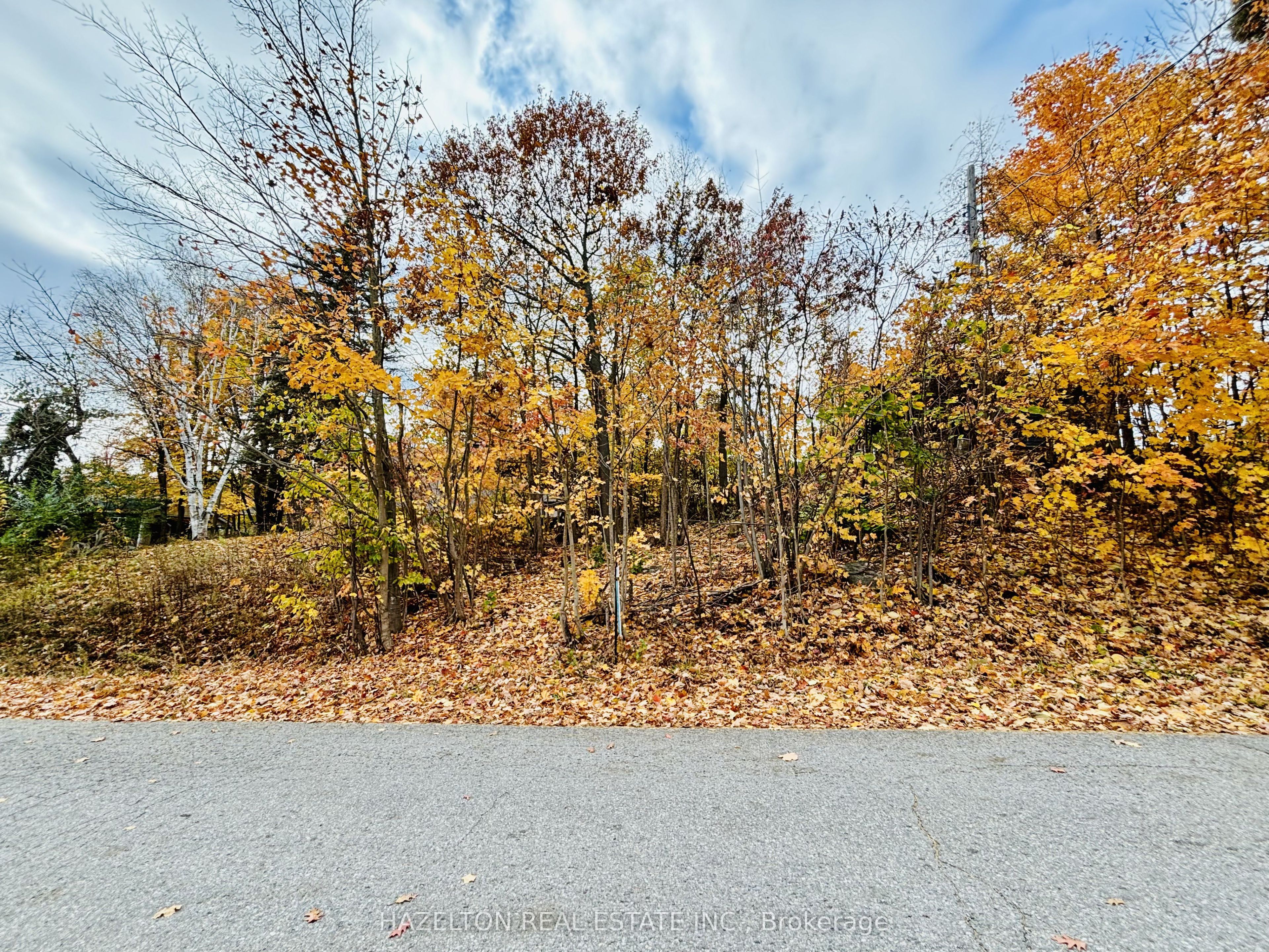 554 Barnes Avenue Property Photo 3