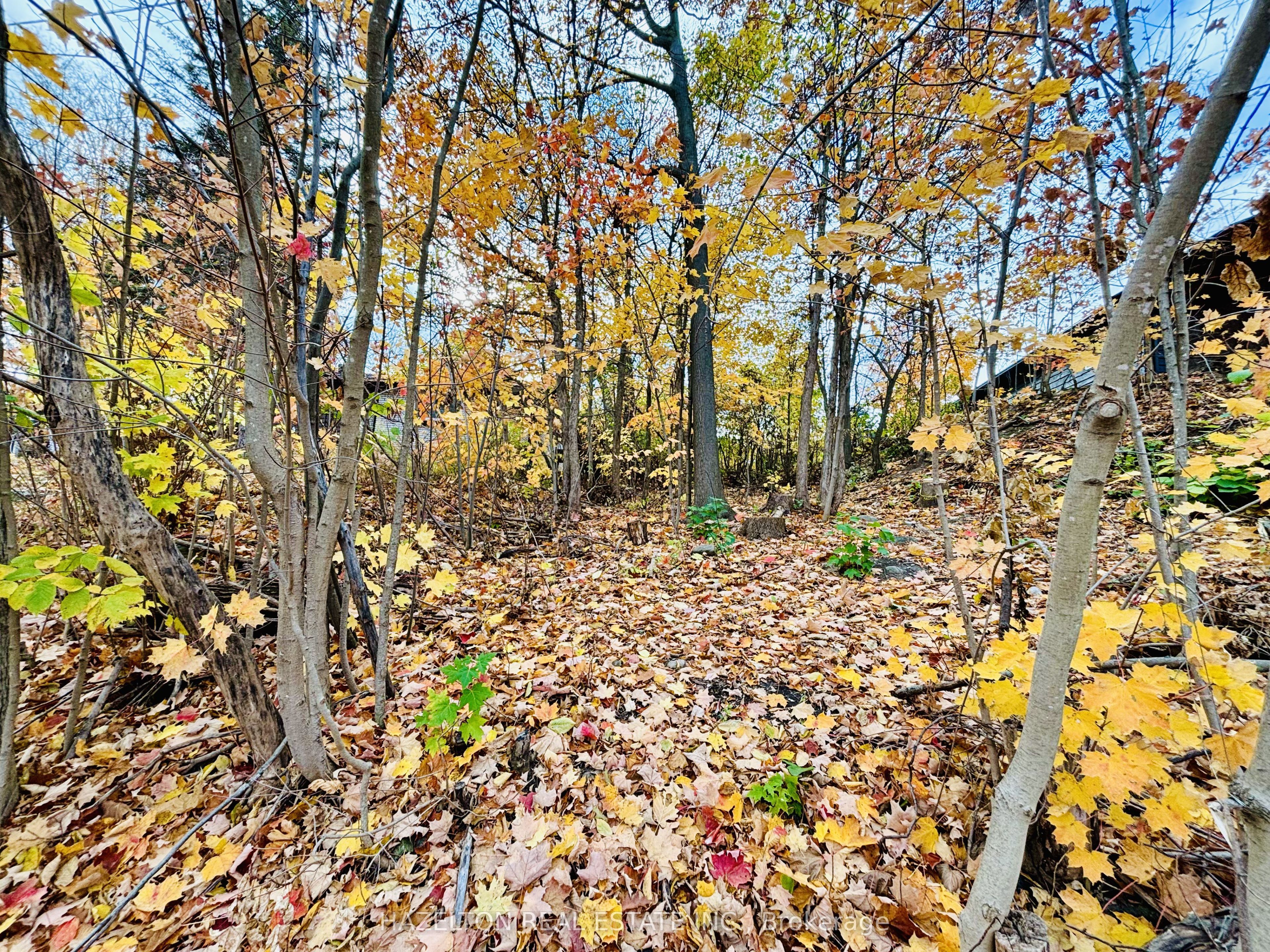 554 Barnes Avenue Property Photo 4