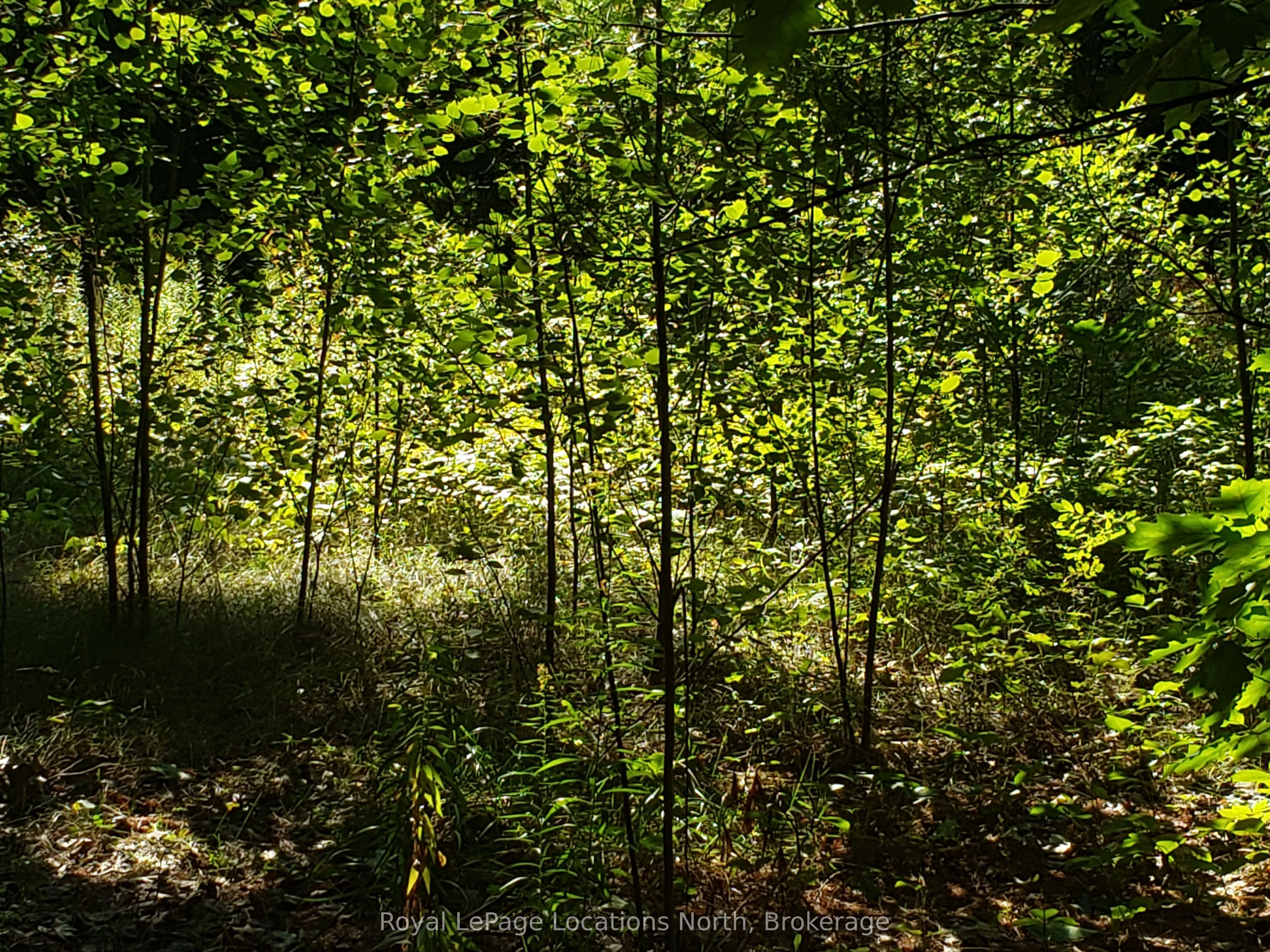 23 Stoney Road Property Photo 4