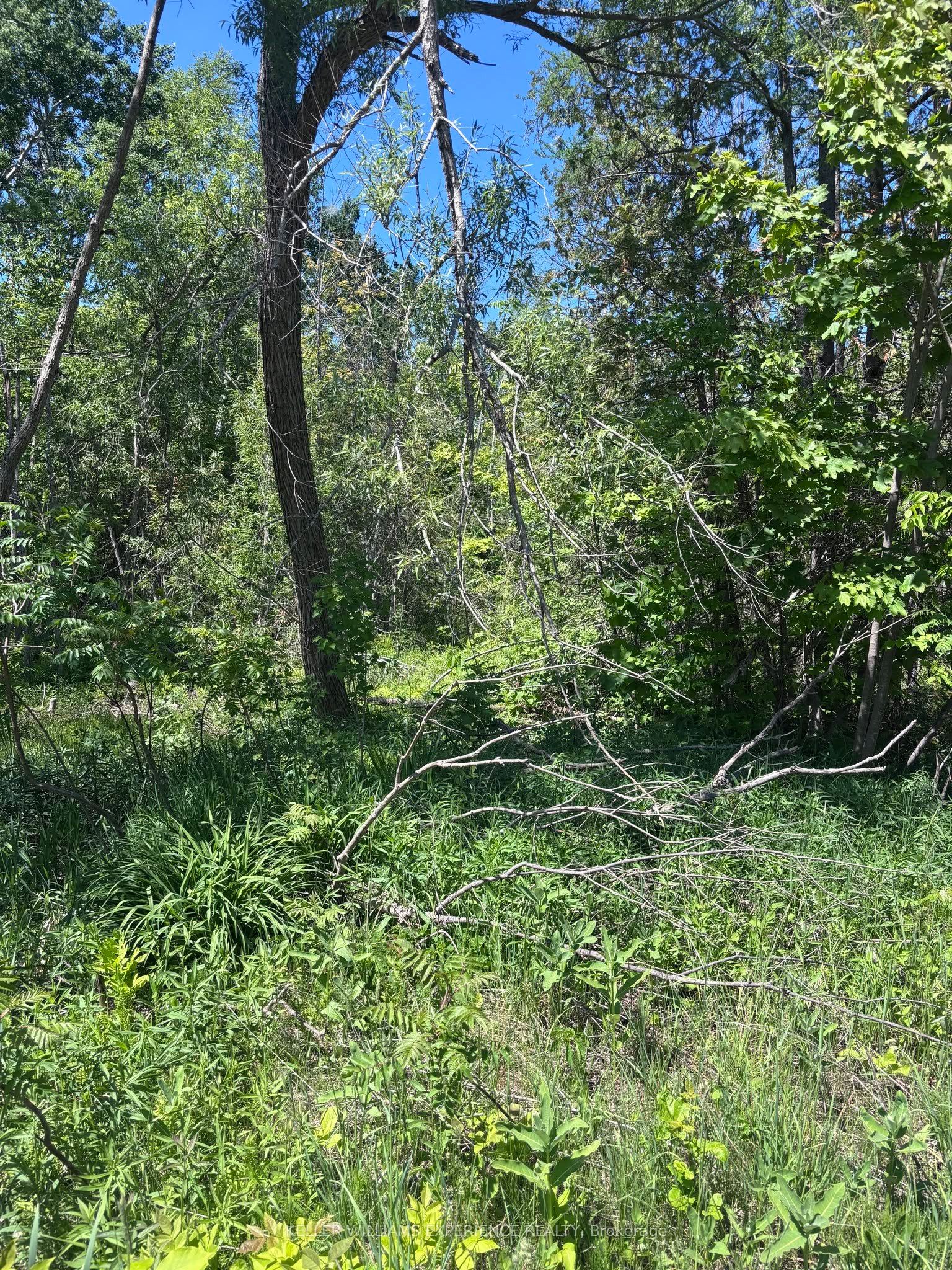 1382 Wilson Point Road Property Photo 2