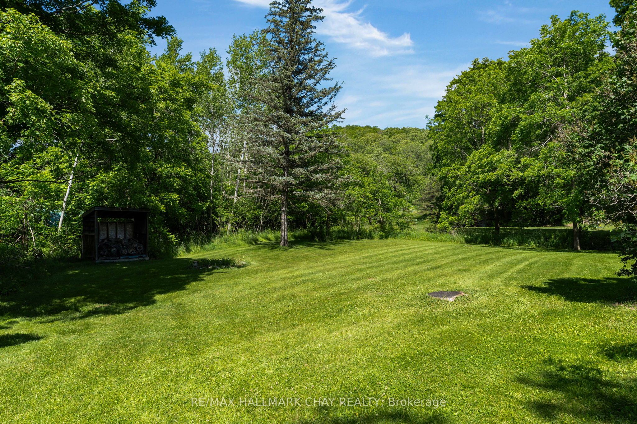 8997 County Road 9 Property Photo 29