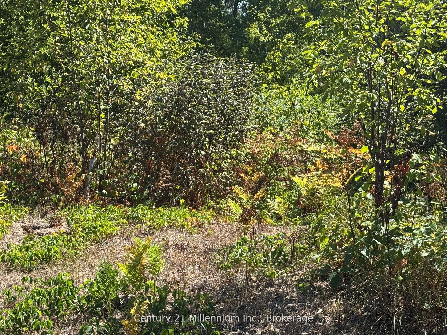 931 River Road E Property Photo 3