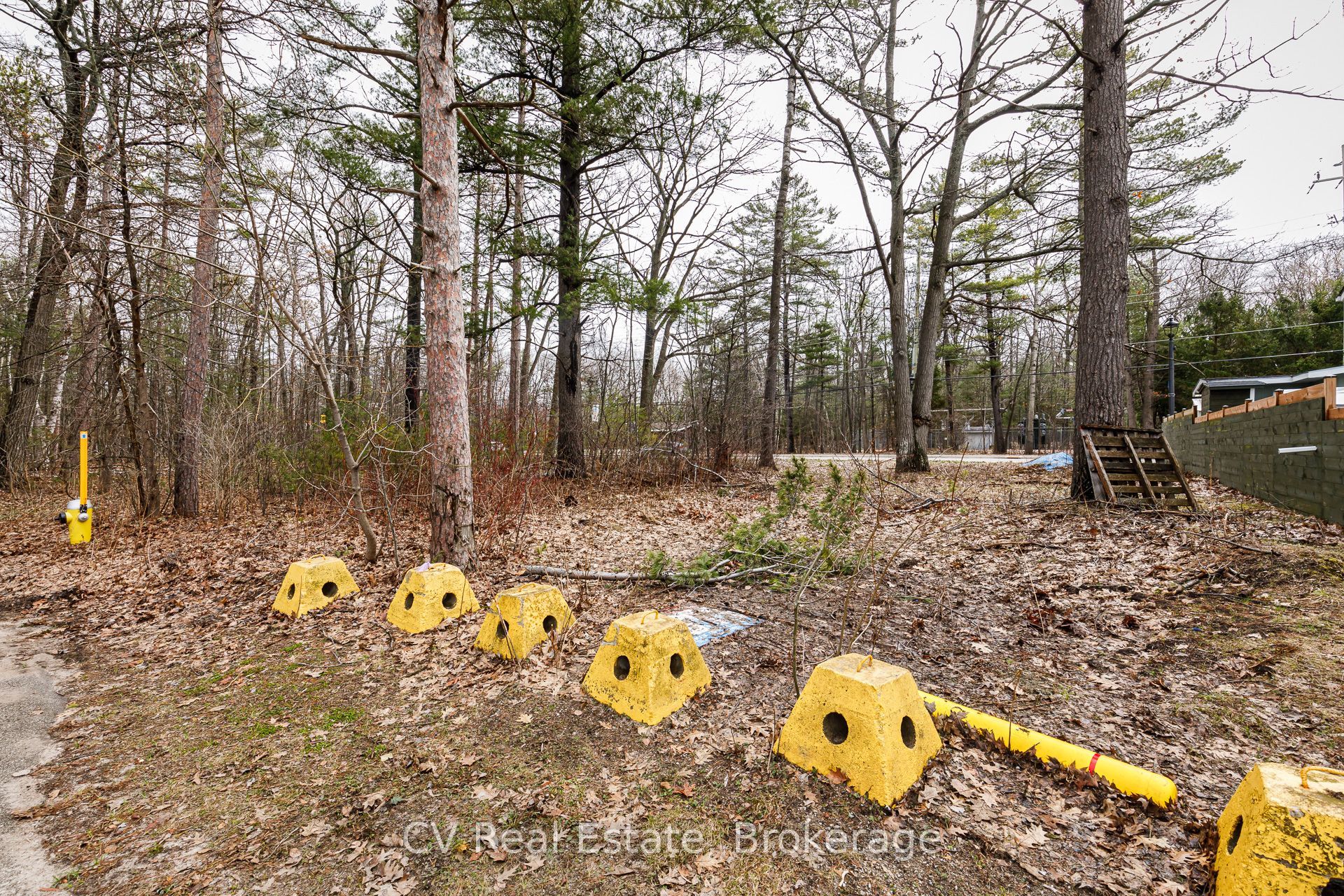 8 Poplar Street Property Photo 9