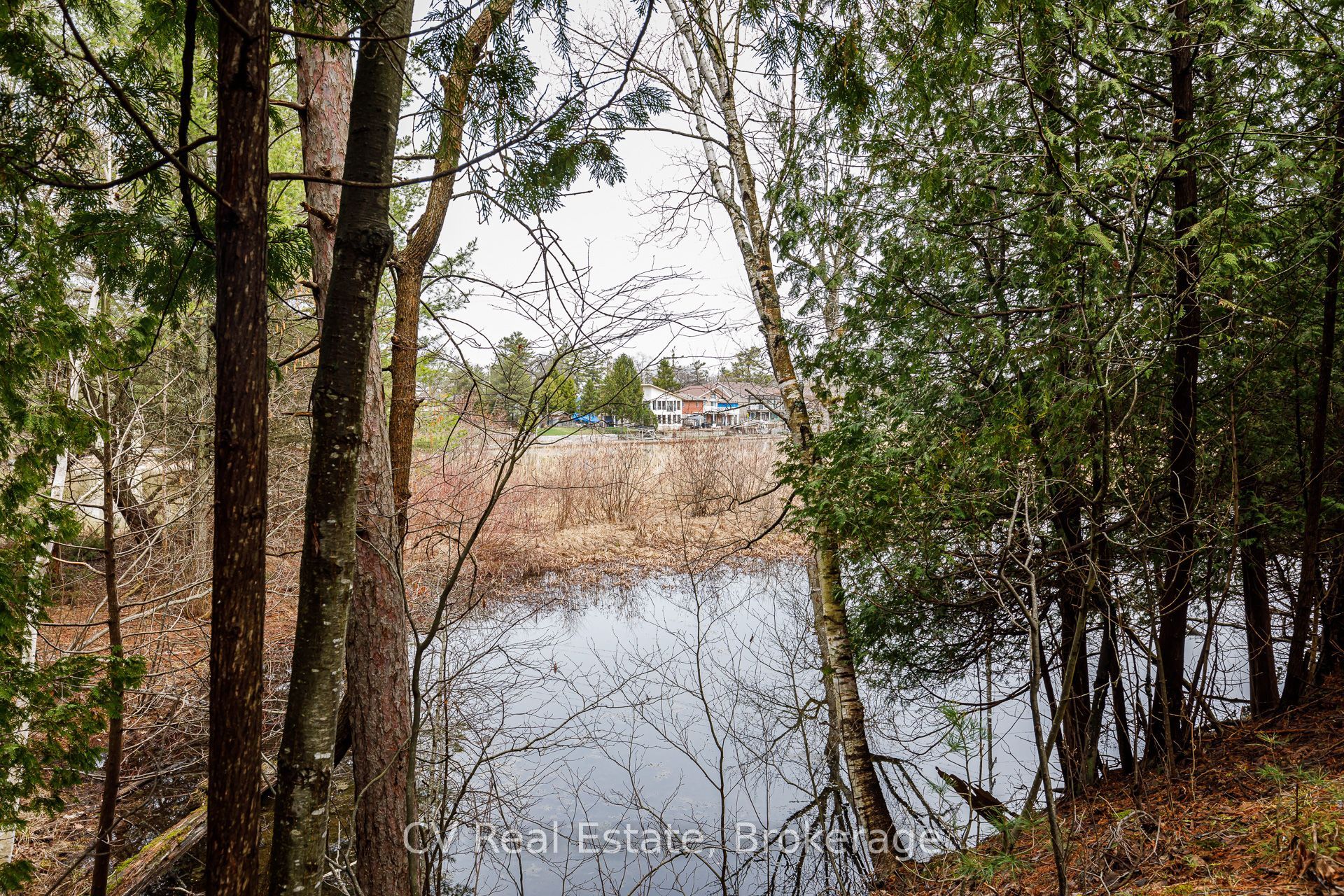 8 Poplar Street Property Photo 17