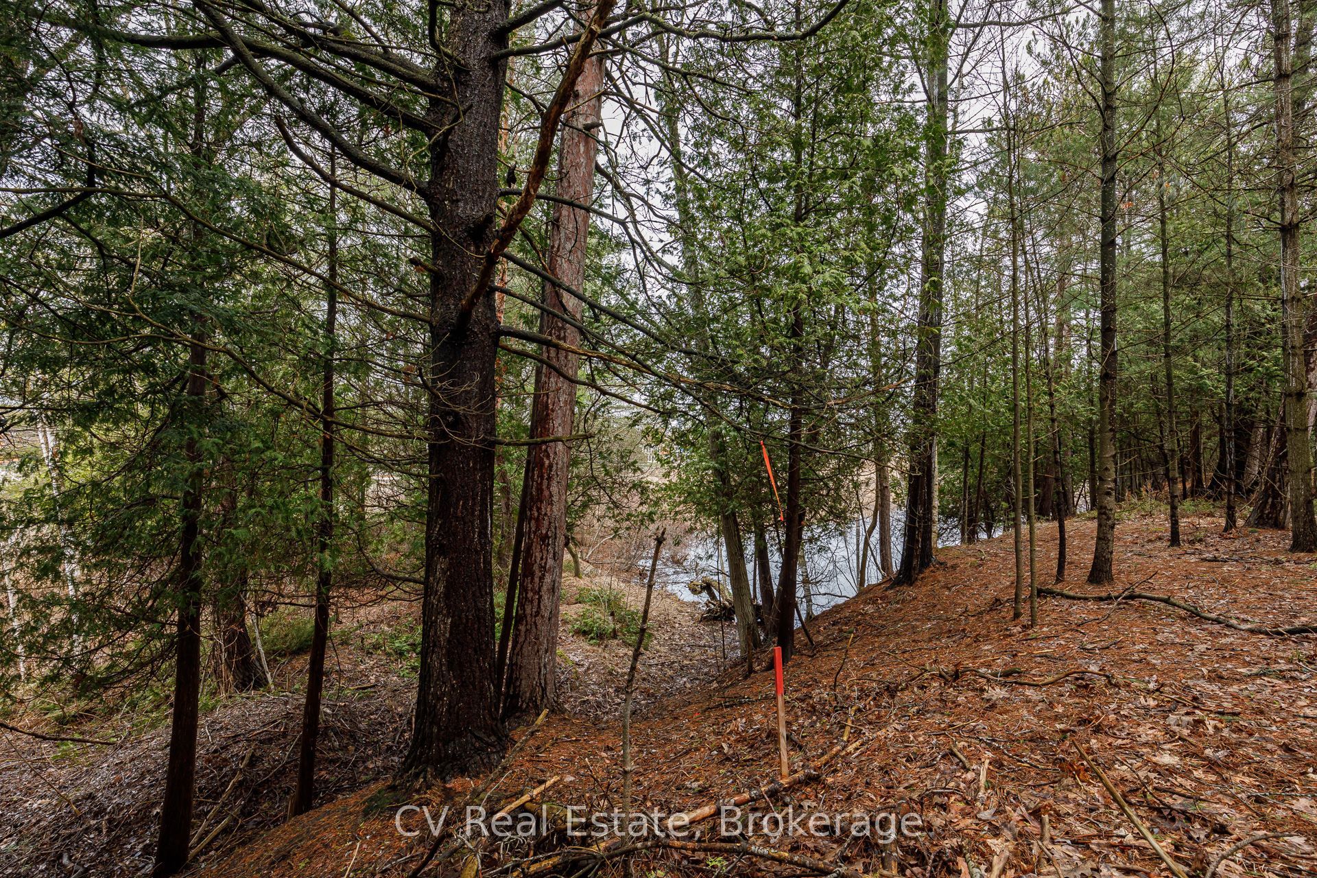 8 Poplar Street Property Photo 18