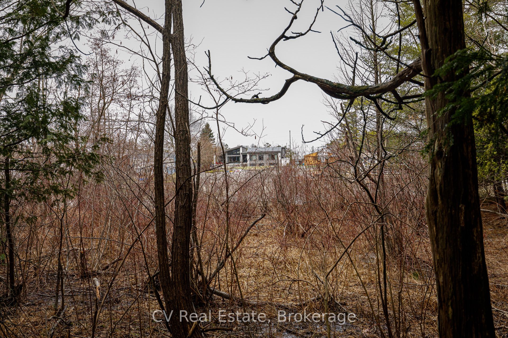 8 Poplar Street Property Photo 19