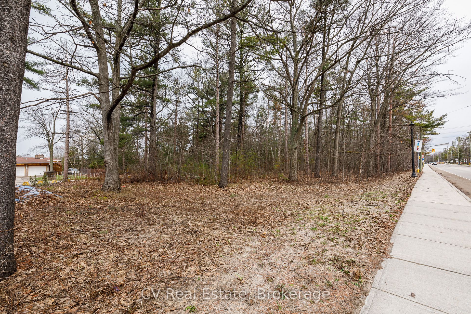 8 Poplar Street Property Photo 25