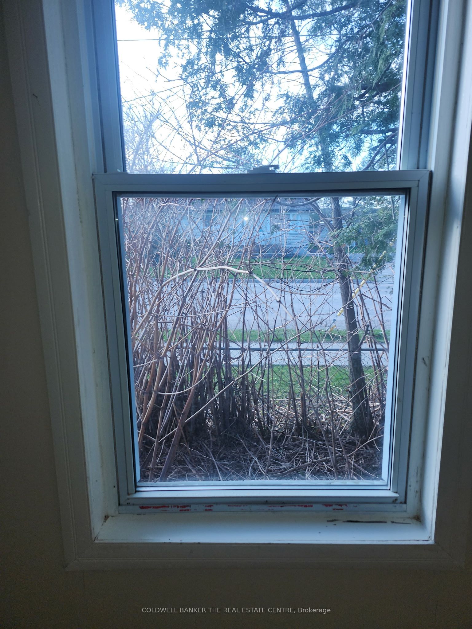 117 Eighth Street 2 Property Photo 6