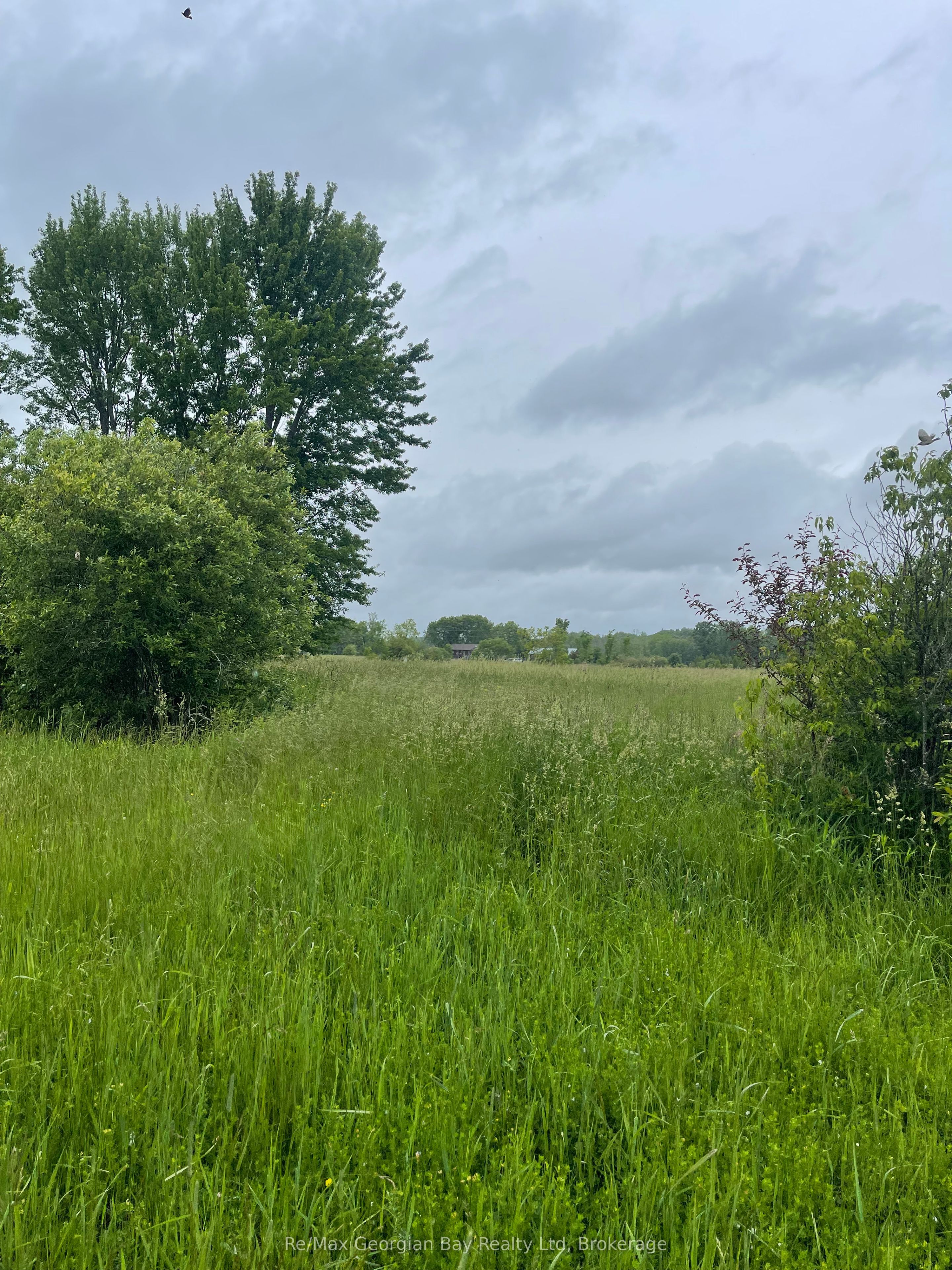 1744 Balkwill Line Property Photo 4