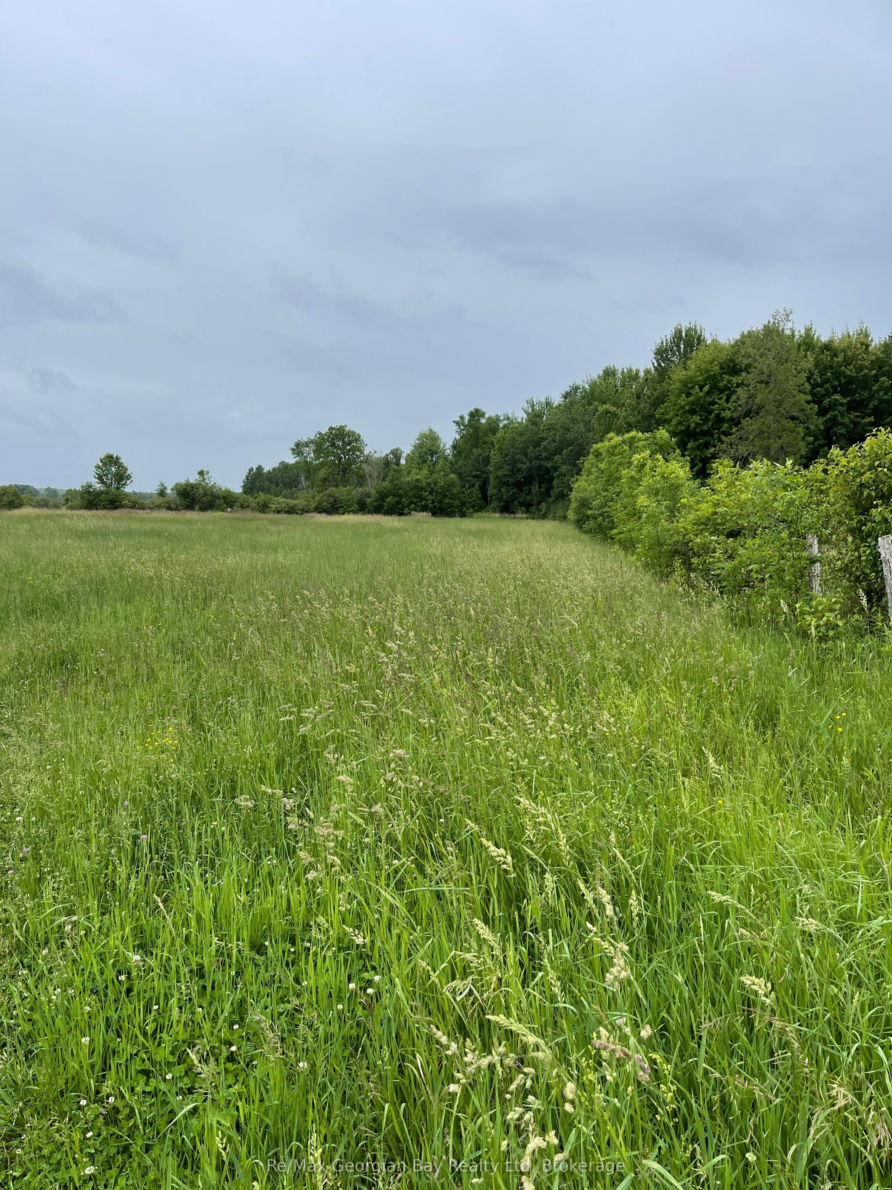 1744 Balkwill Line Property Photo 9