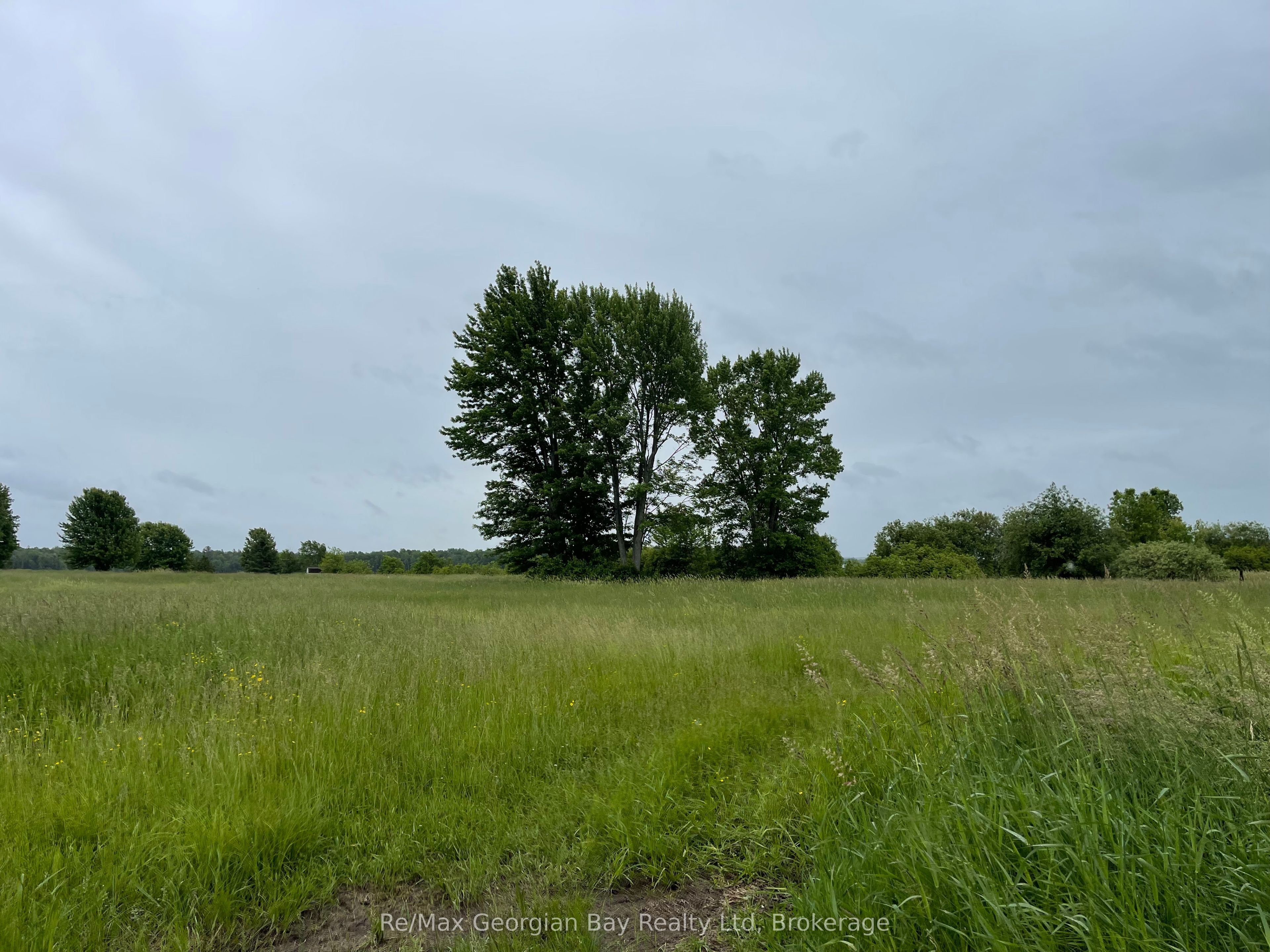 1744 Balkwill Line Property Photo 10