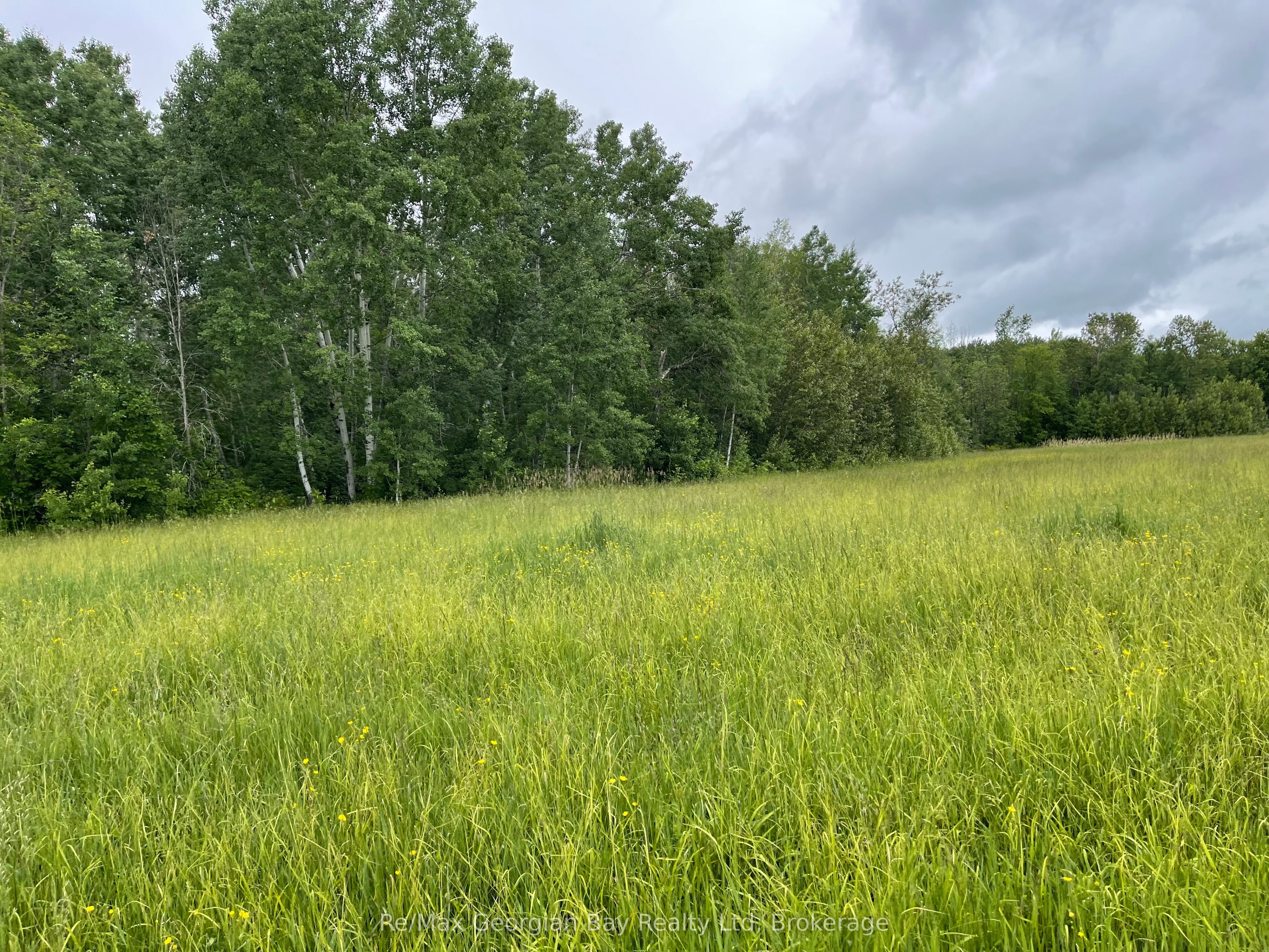 1744 Balkwill Line Property Photo 11