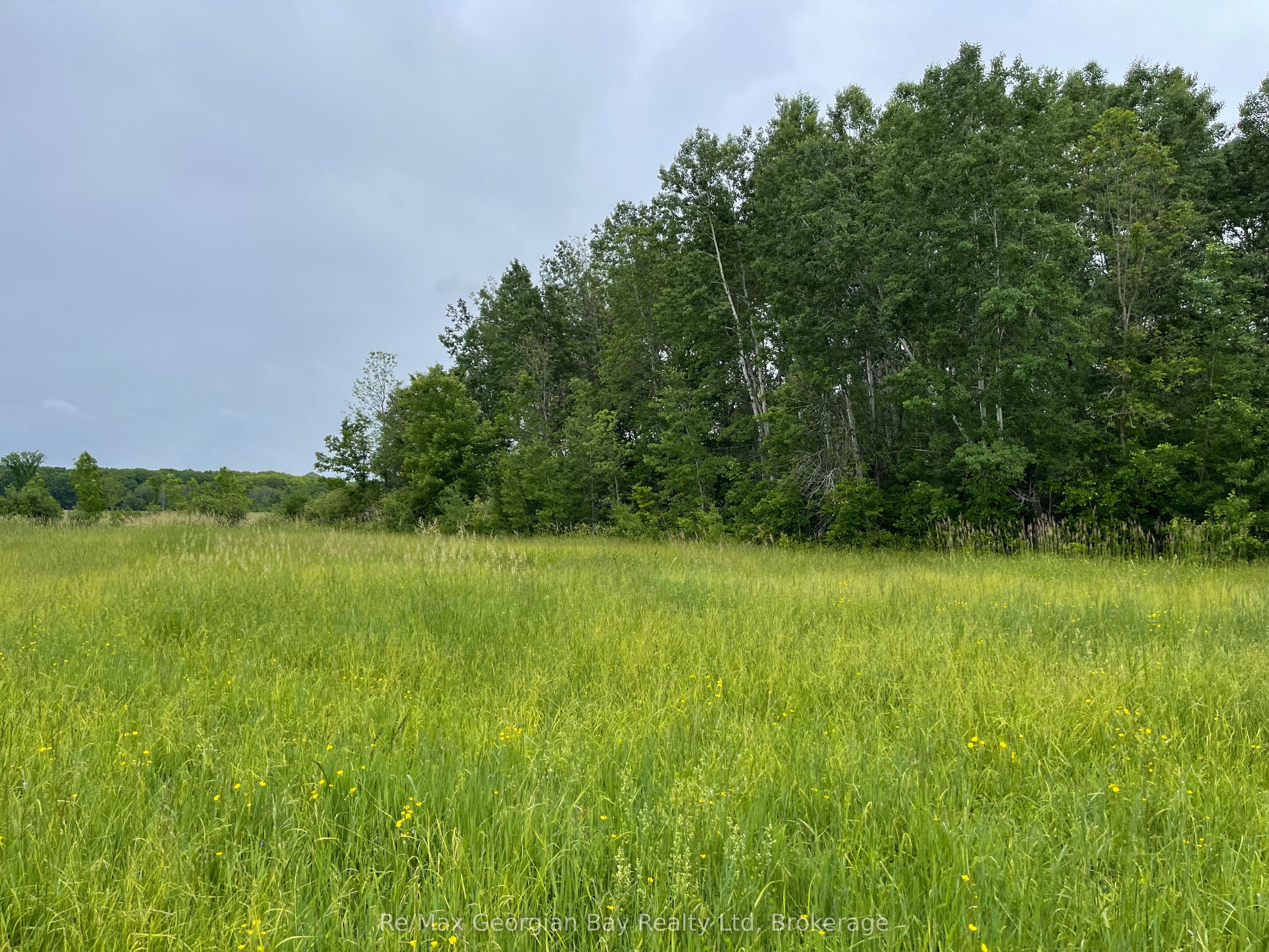 1744 Balkwill Line Property Photo 12