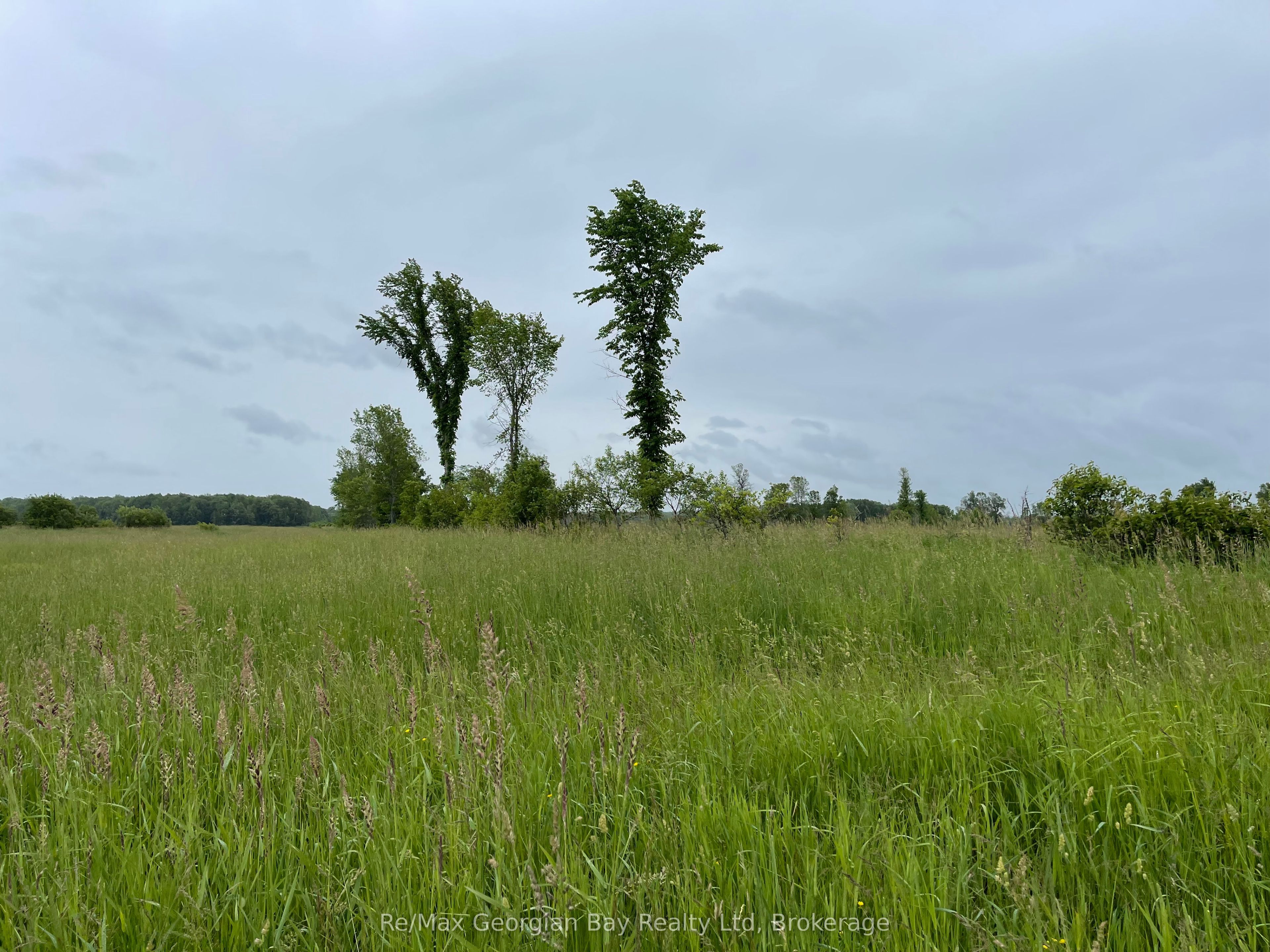 1744 Balkwill Line Property Photo 13