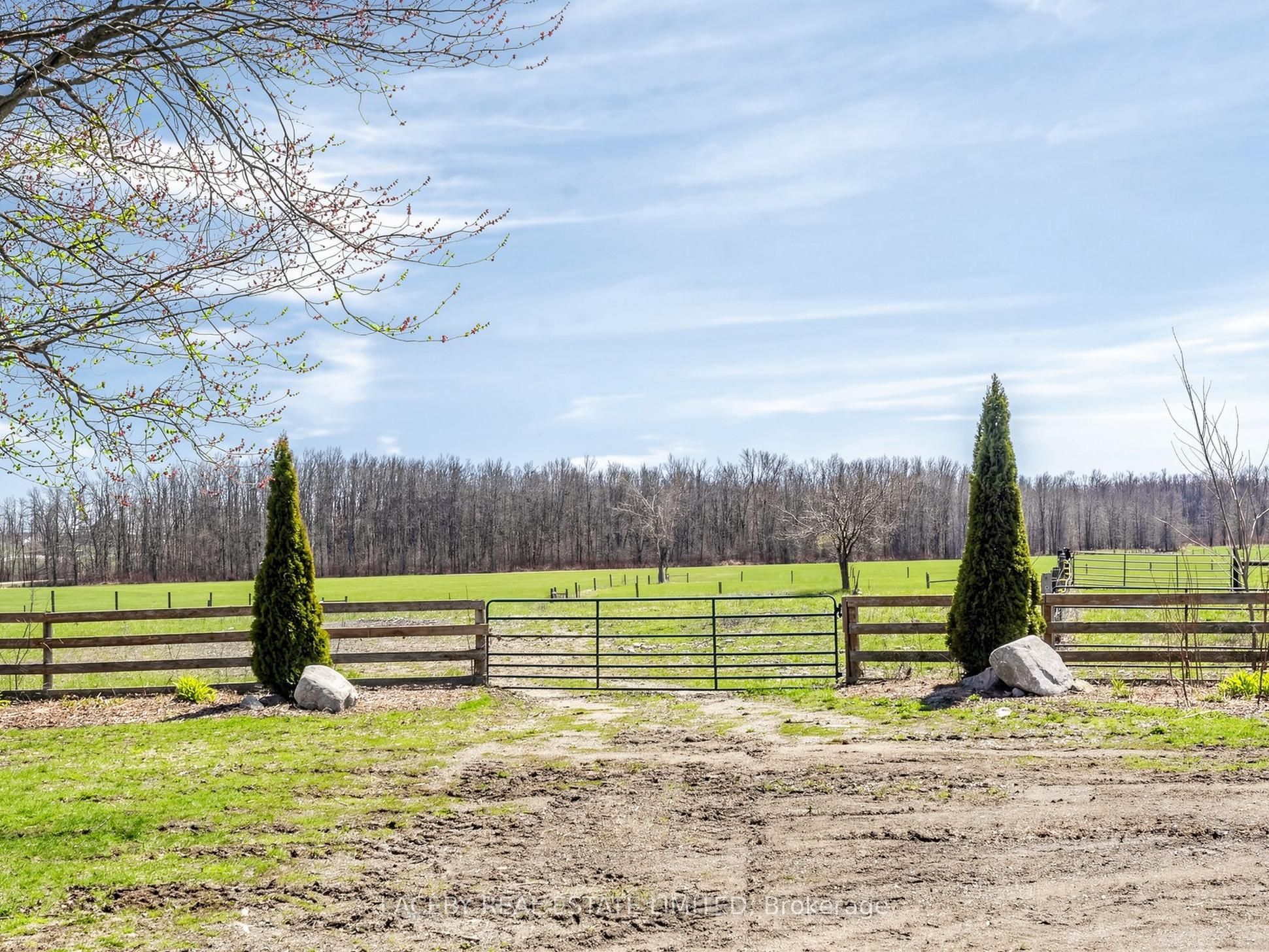 51 Balsam Road Property Photo 4