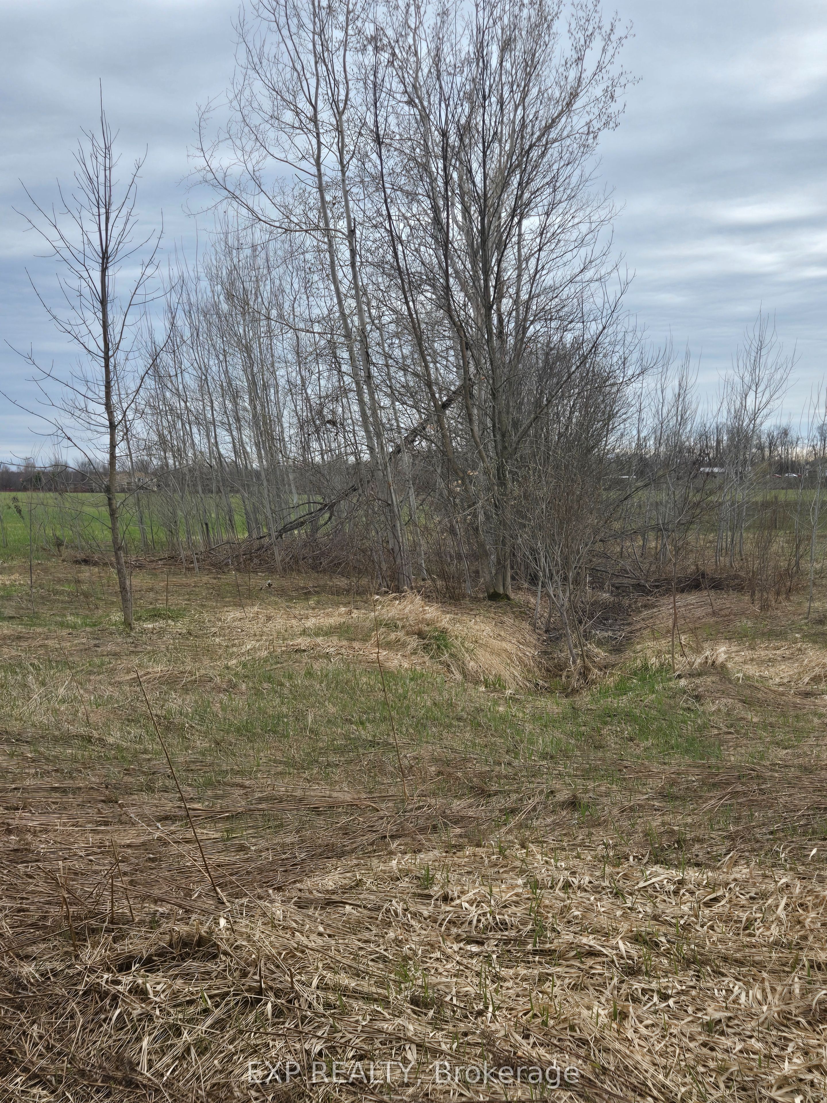 5496 Fairvalley Road Property Photo 10