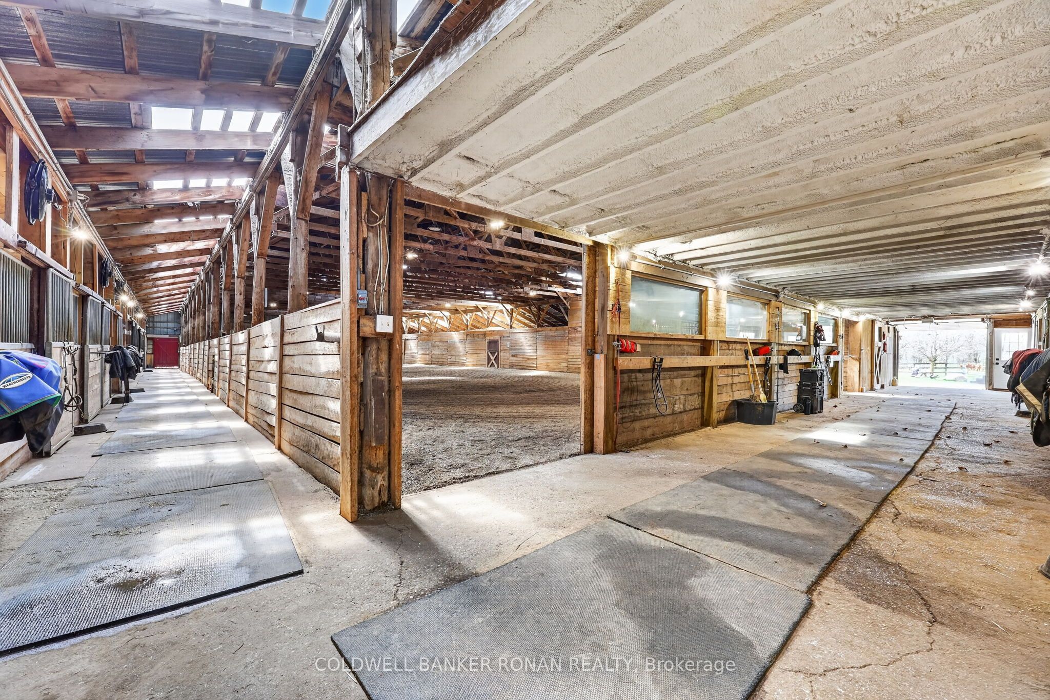 4479 2nd Line N Property Photo 5