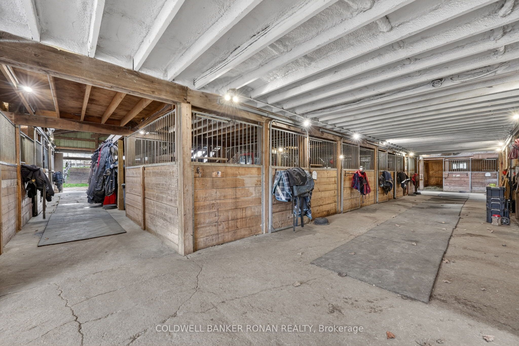 4479 2nd Line N Property Photo 8