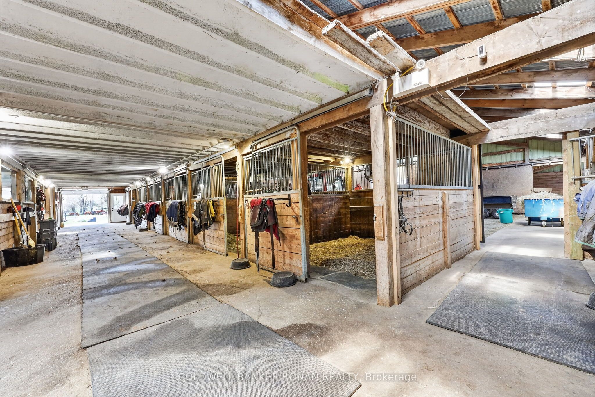 4479 2nd Line N Property Photo 10