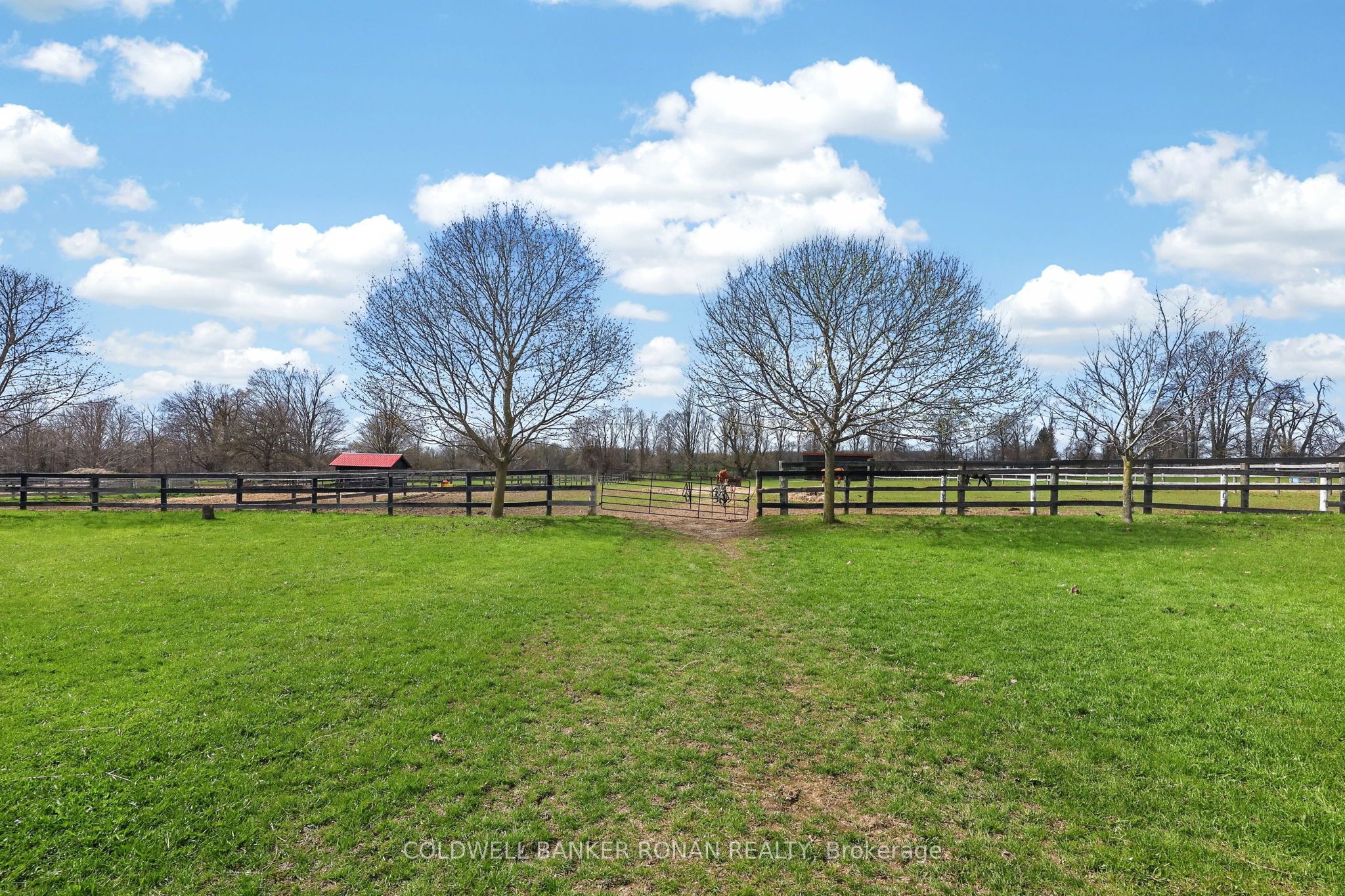 4479 2nd Line N Property Photo 14