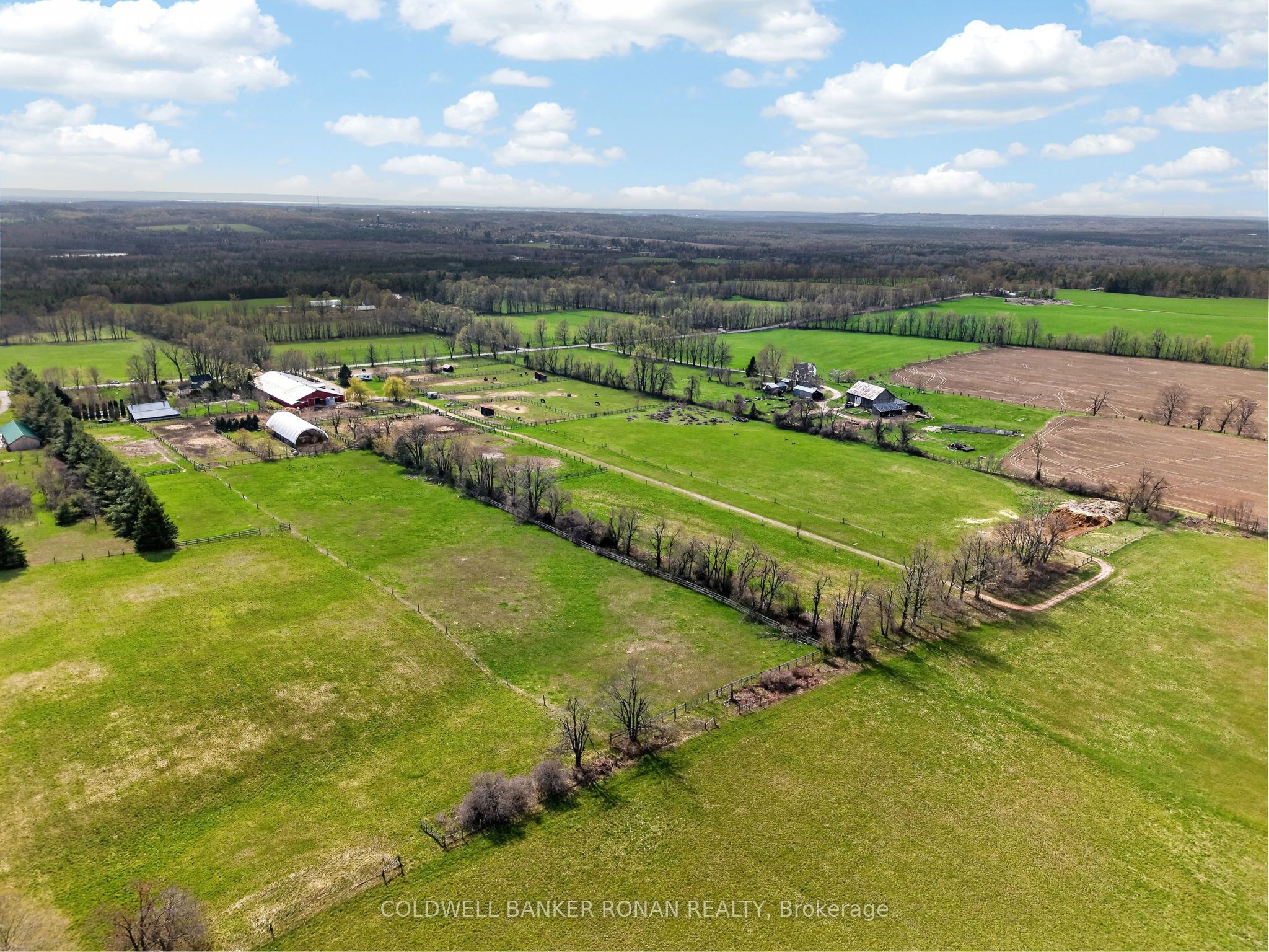 4479 2nd Line N Property Photo 23