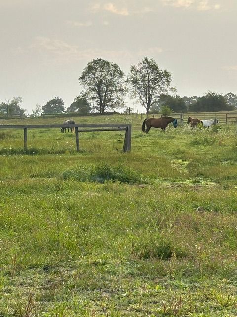 4479 2nd Line N Property Photo 25