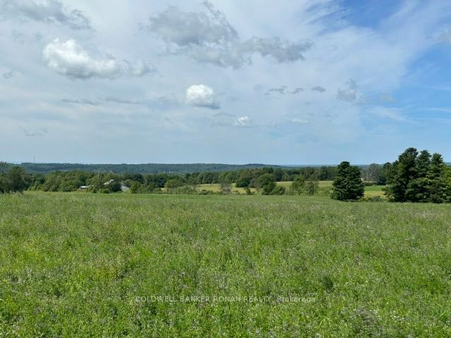 4479 2nd Line N Property Photo 26
