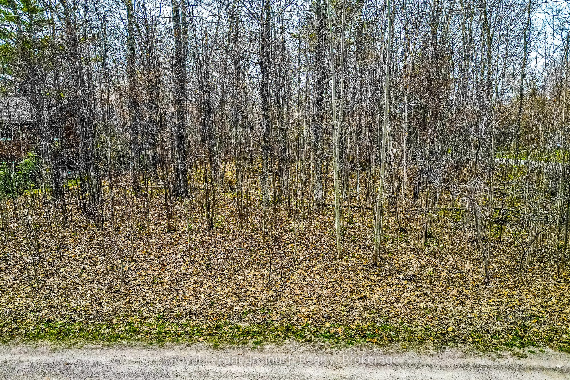 Lot C Parklane Court Property Photo 12