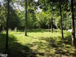 Lt 31 Mighton Court Property Photo 1