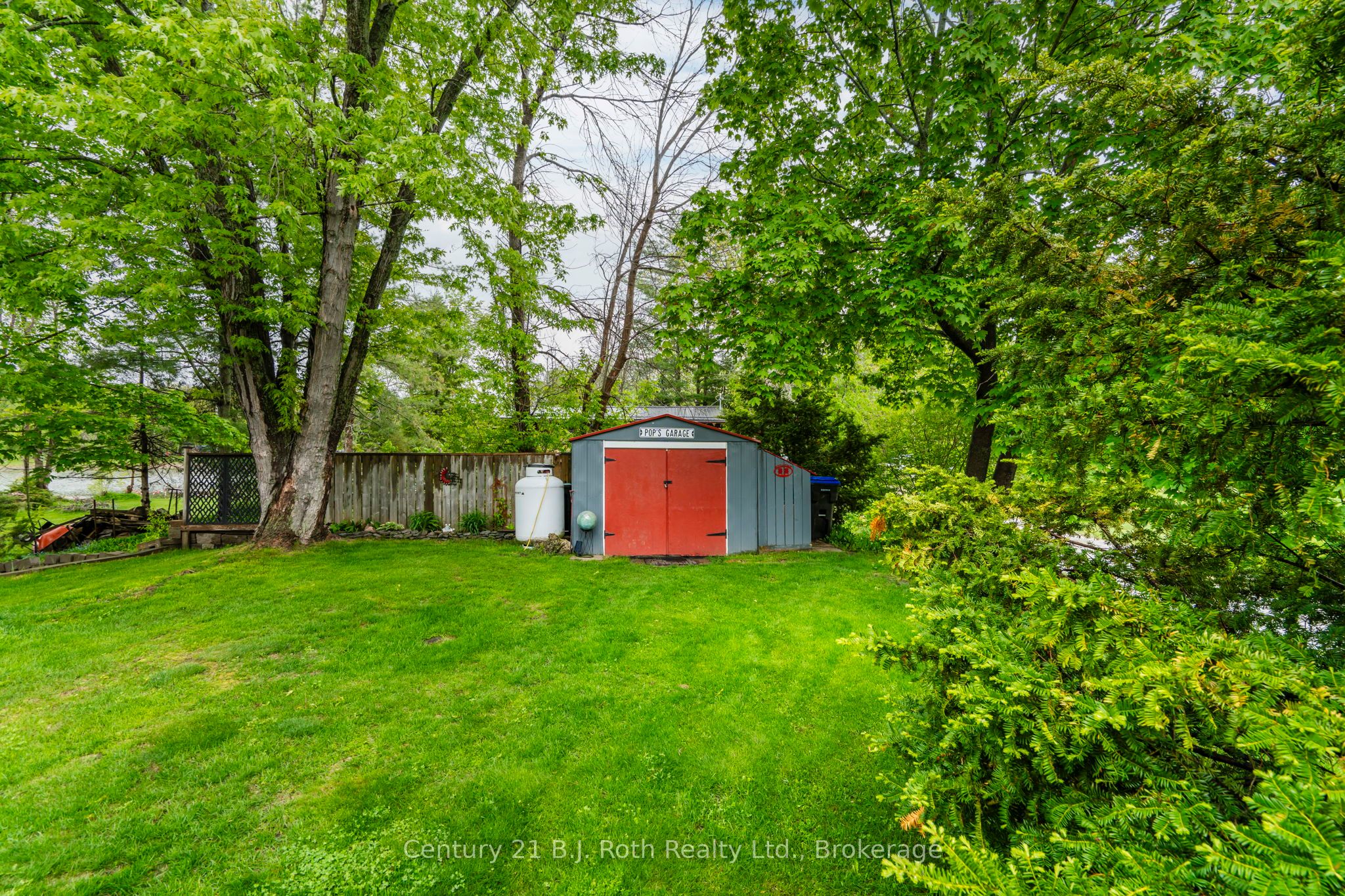 24 Wilcox Road Property Photo 36