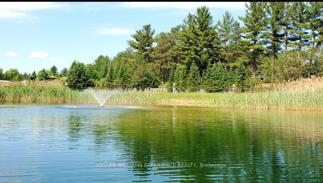 5216 County 90 Road 65 Property Photo 11