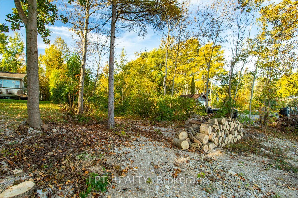 41 Glen Road Property Photo 17