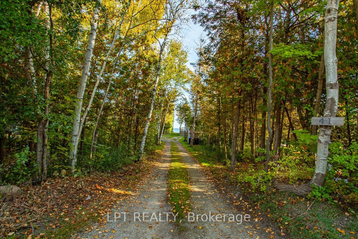 41 Glen Road Property Photo 21