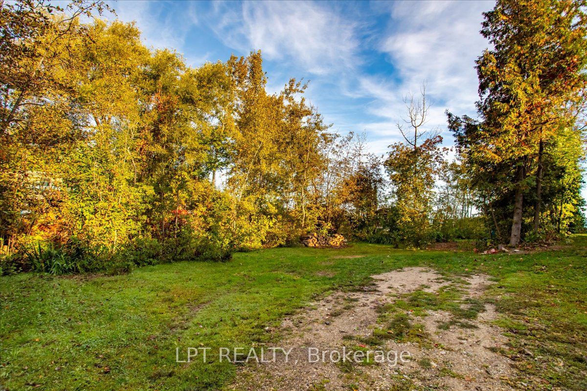 41 Glen Road Property Photo 27