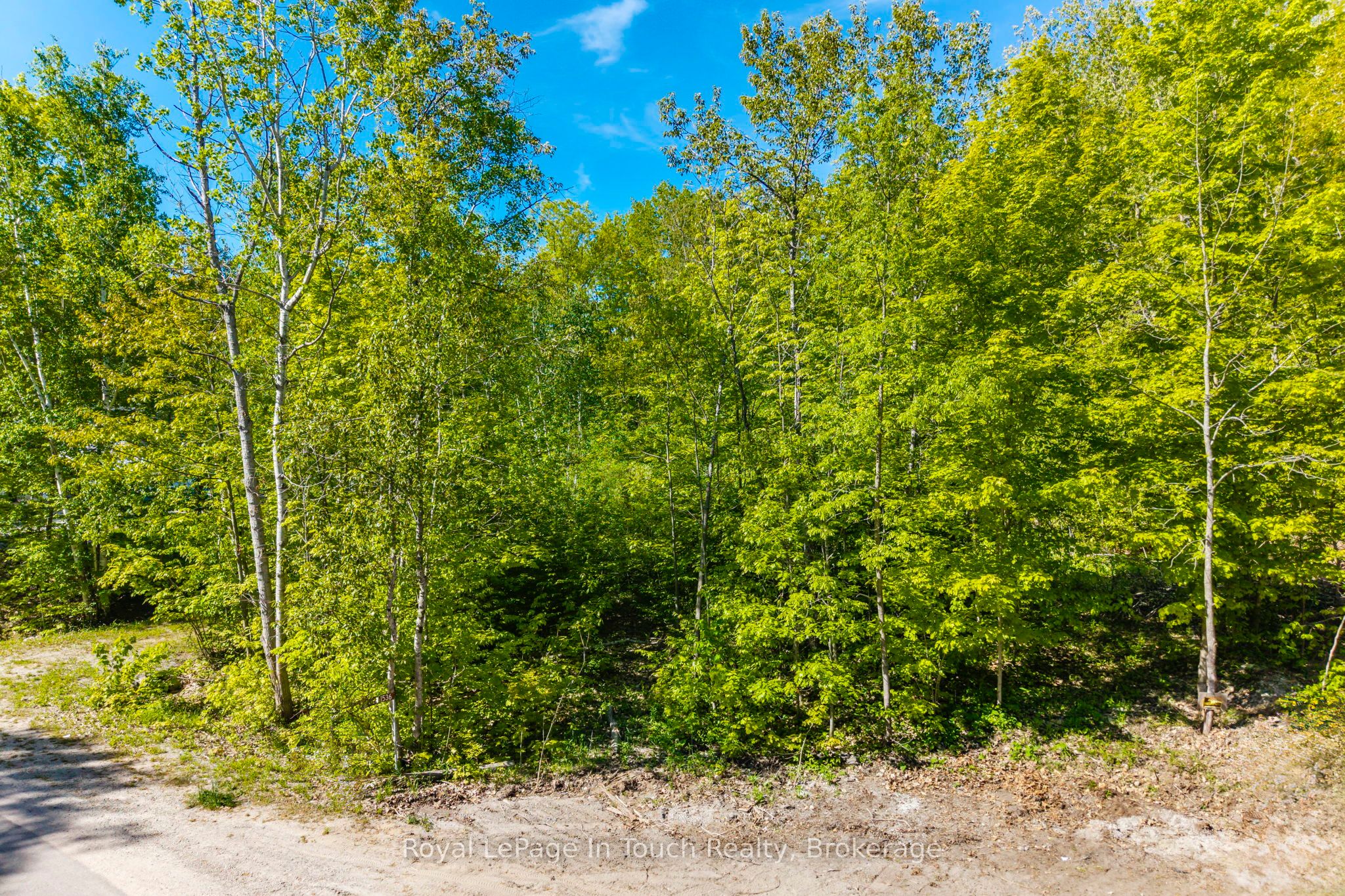 1536 CHAMPLAIN Road Property Photo 1