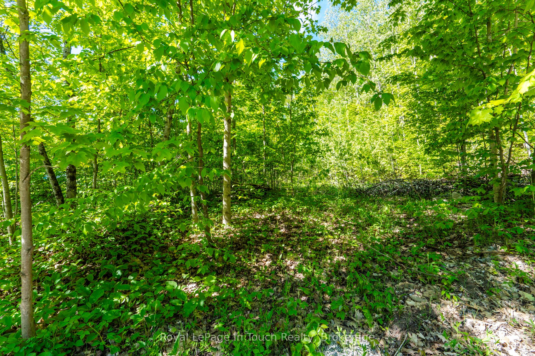 1536 Champlain Road Property Photo 2