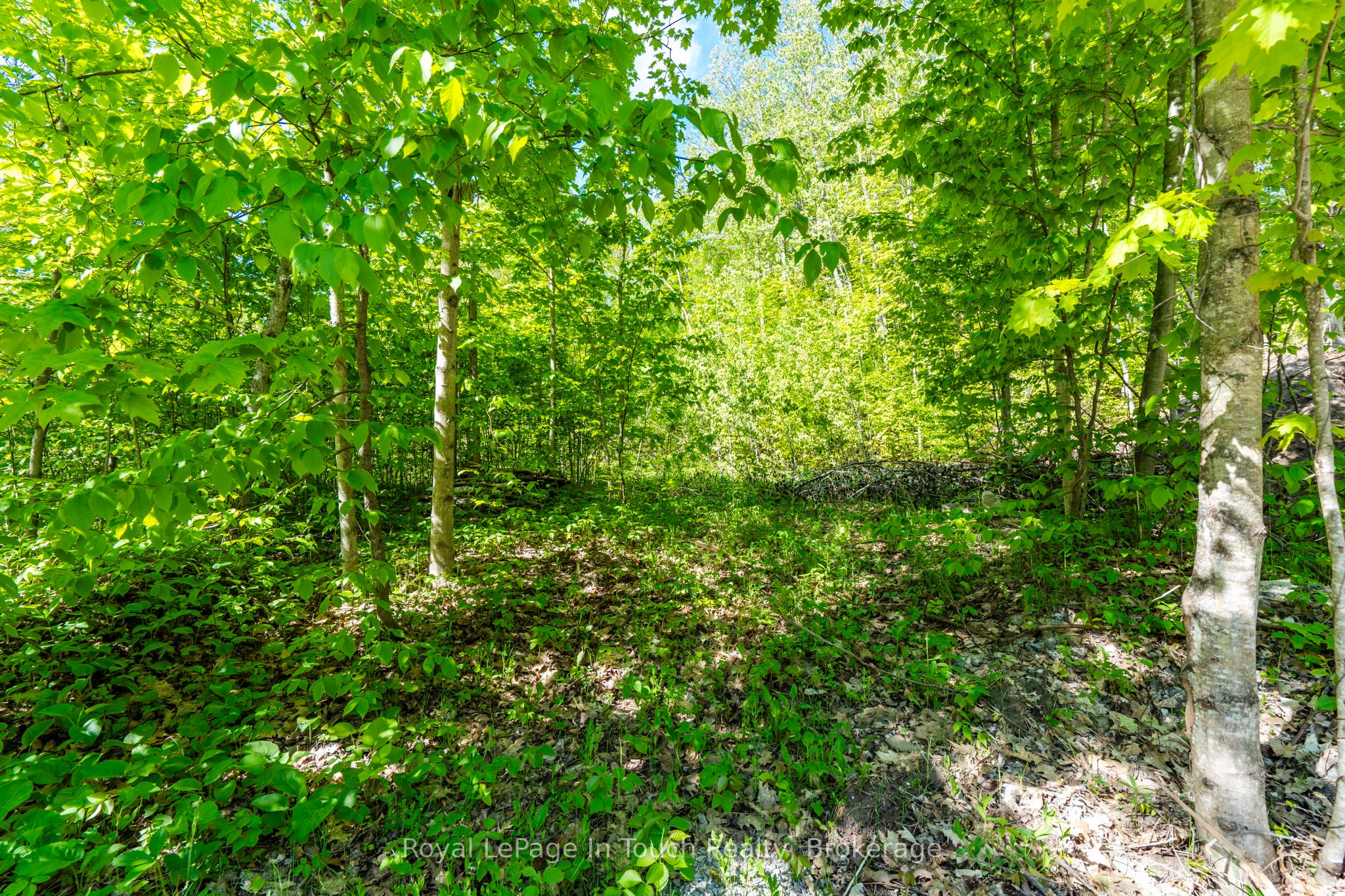 1536 Champlain Road Property Photo 10