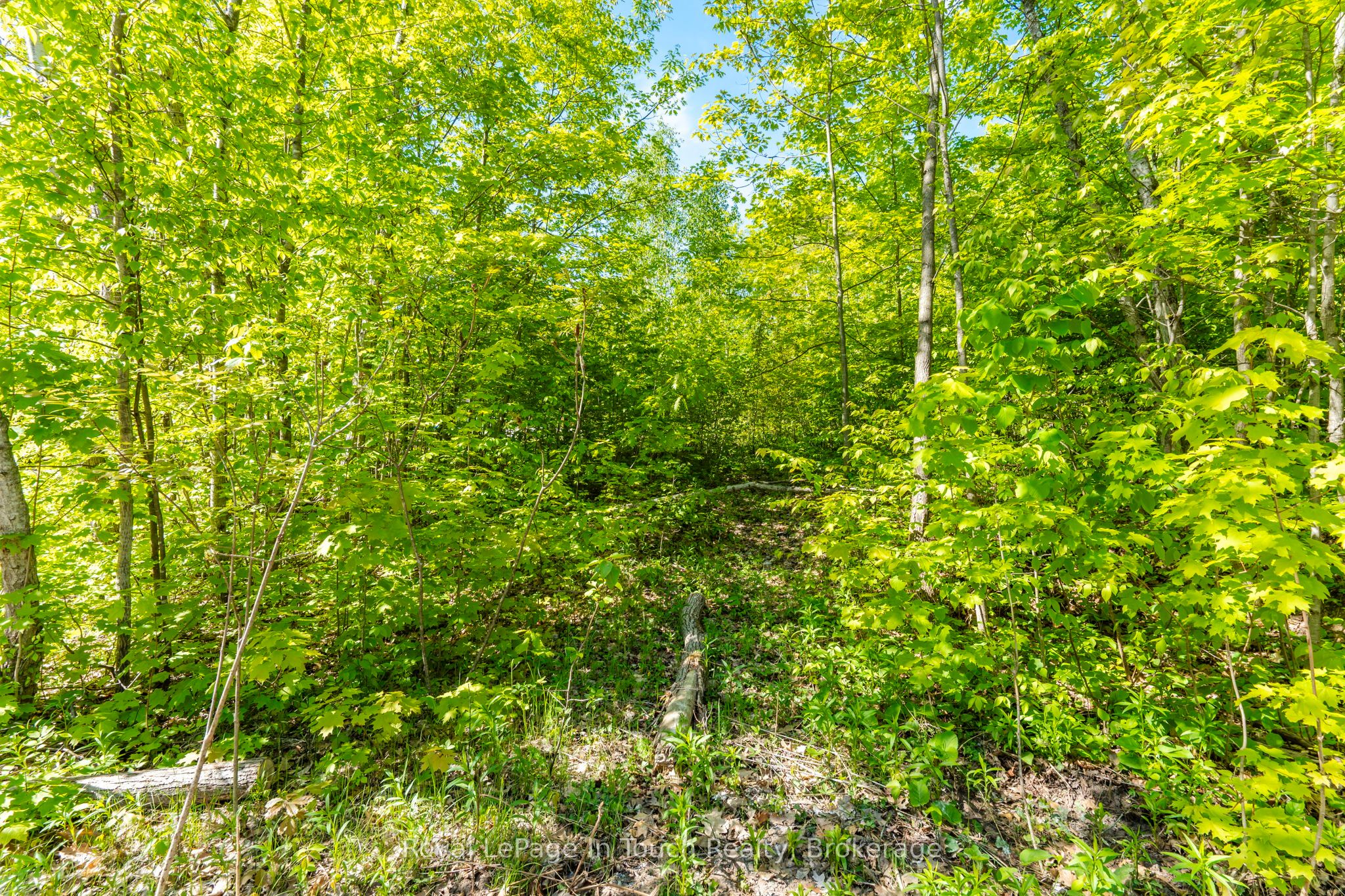 1536 Champlain Road Property Photo 11