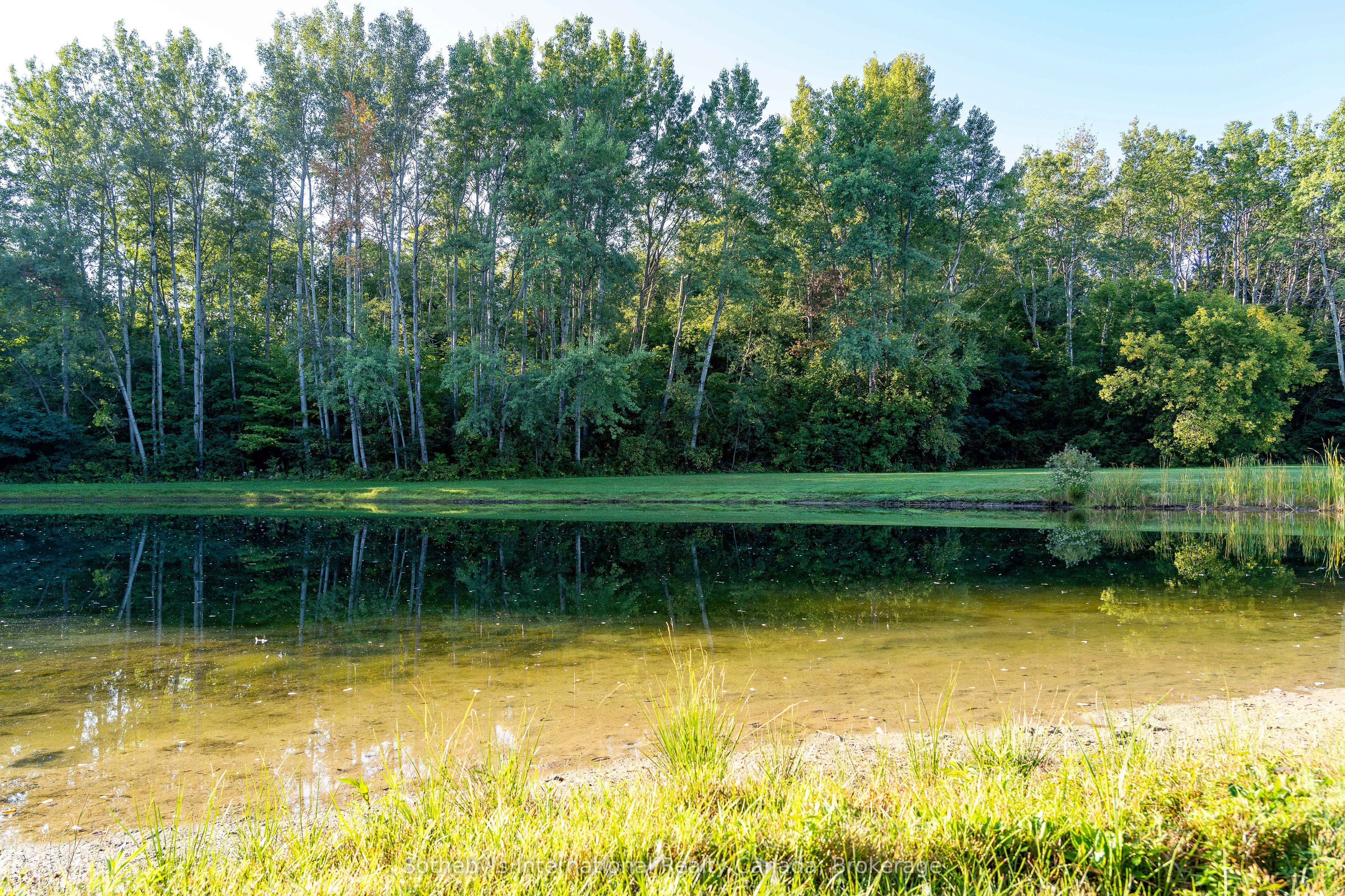 7781 Poplar Side Road Property Photo 49