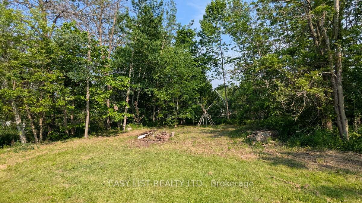 3783 Campbell Road Property Photo 11