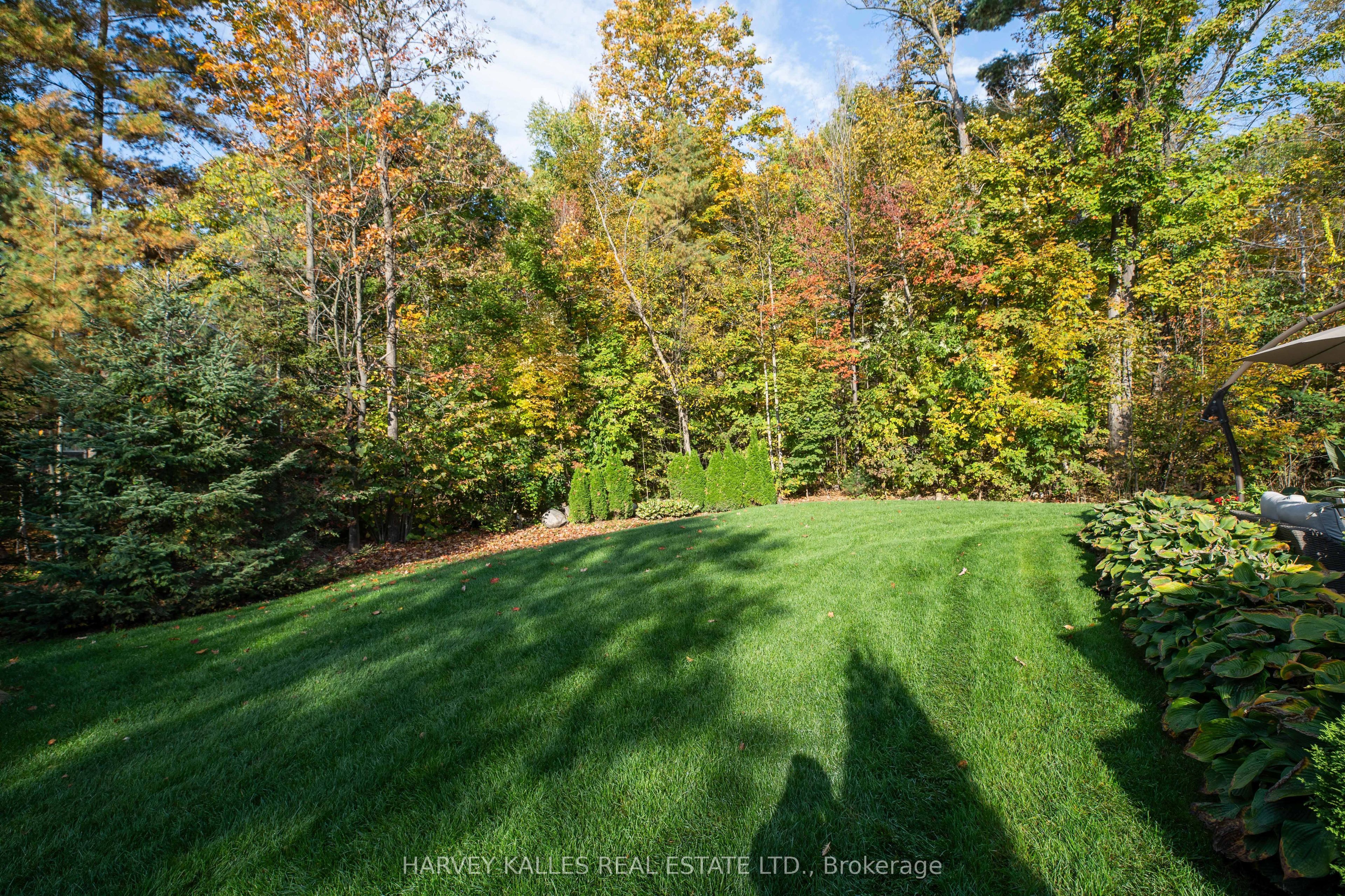 6 Georgina Drive Property Photo 48